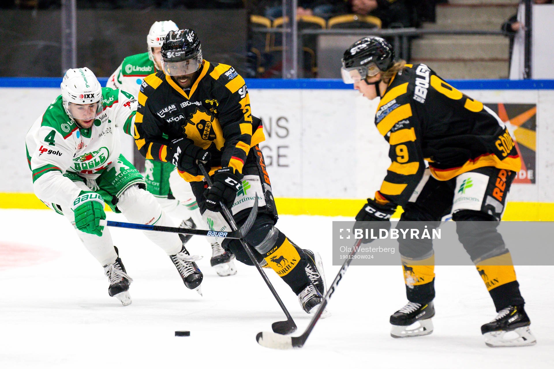 Skellefteås Edwin Hedberg och Tim Söderlund