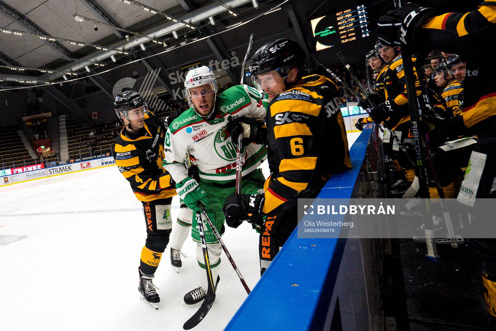 Skellefteås Bud Holloway och Filip Berglund