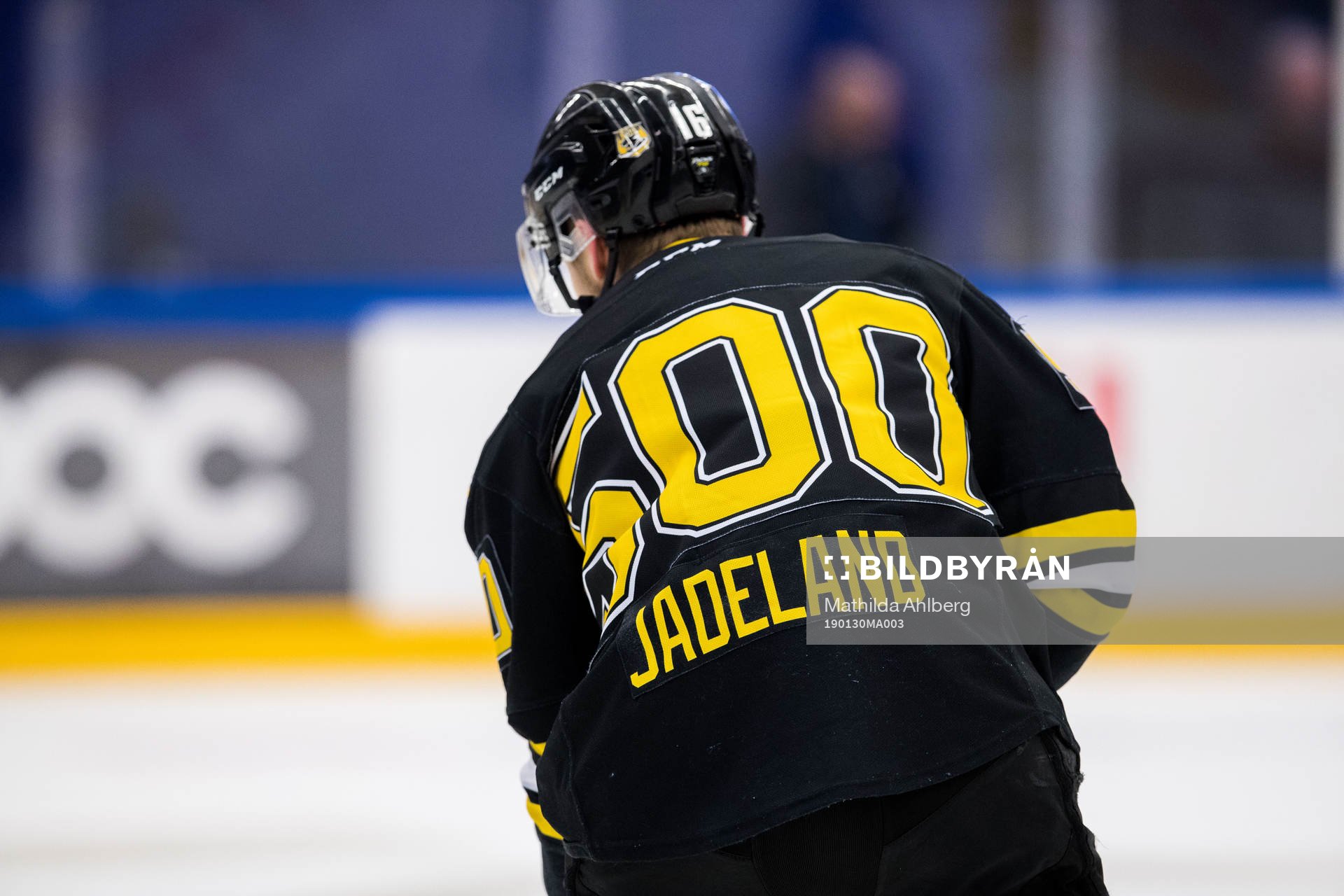 Panterns Nicklas Jadeland med specialtröja med numret 500