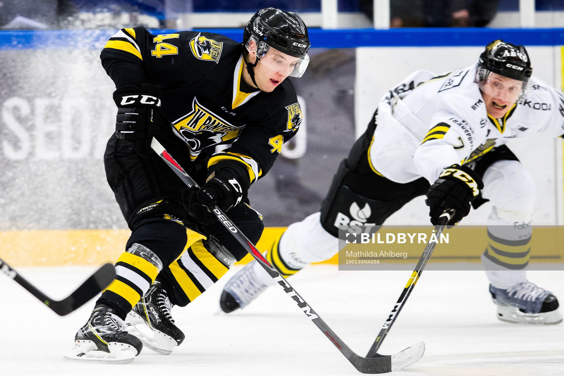 Panterns Erik Nyström