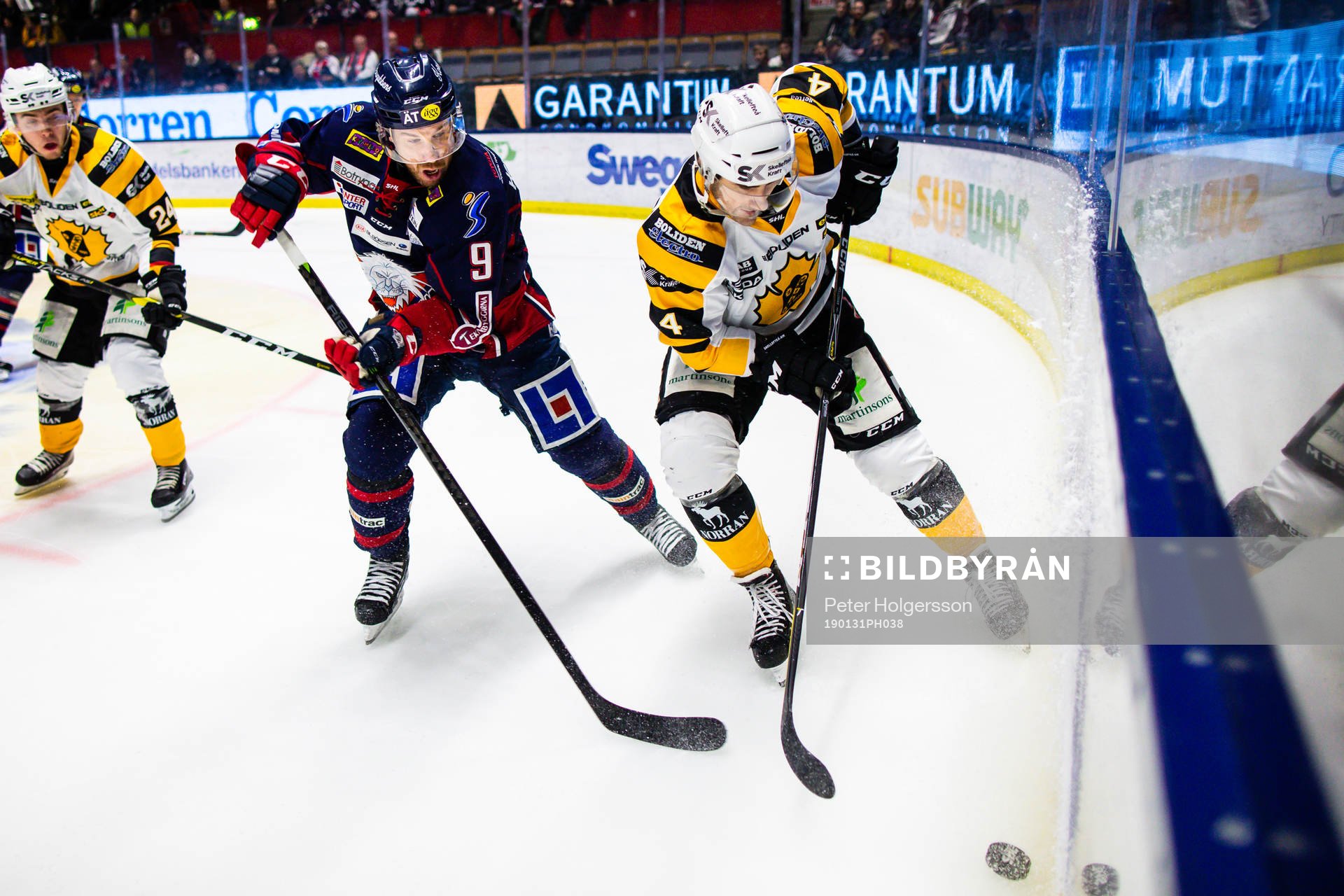 Linköpings Derek Roy och Skellefteås Bud Holloway