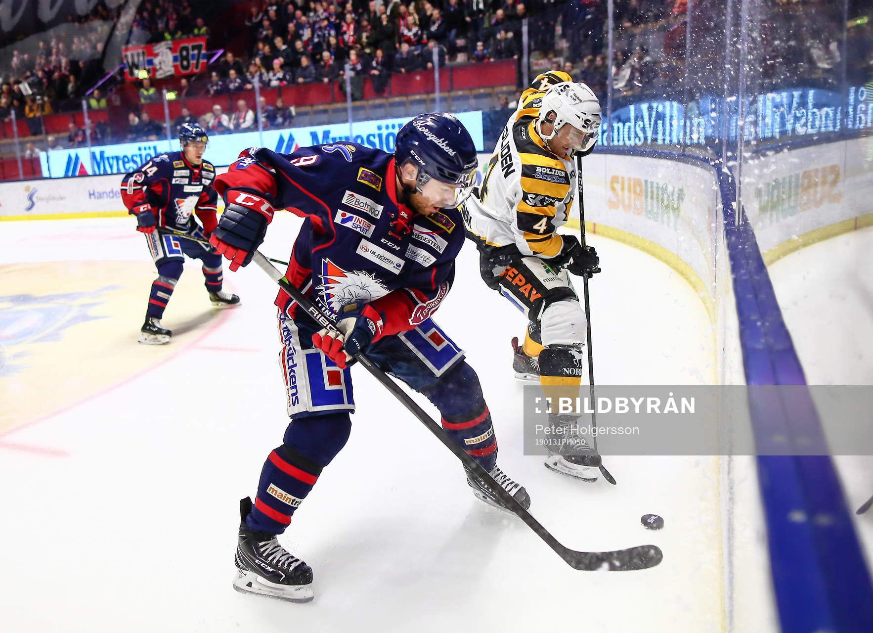 Linköpings Derek Roy och Skellefteås Bud Holloway