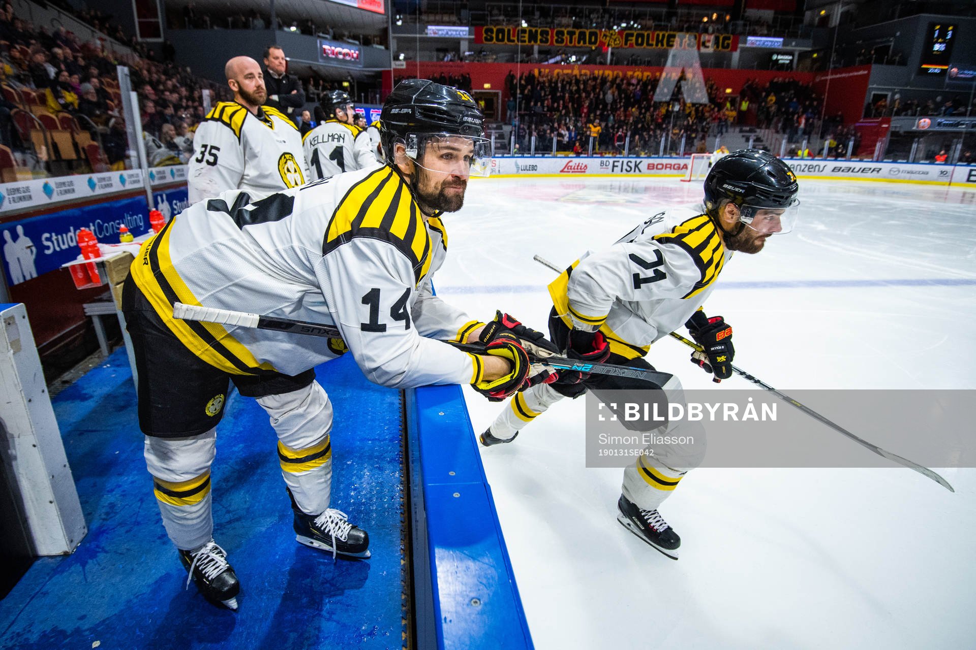 Brynäs Johan Alcén och Robert Kousal