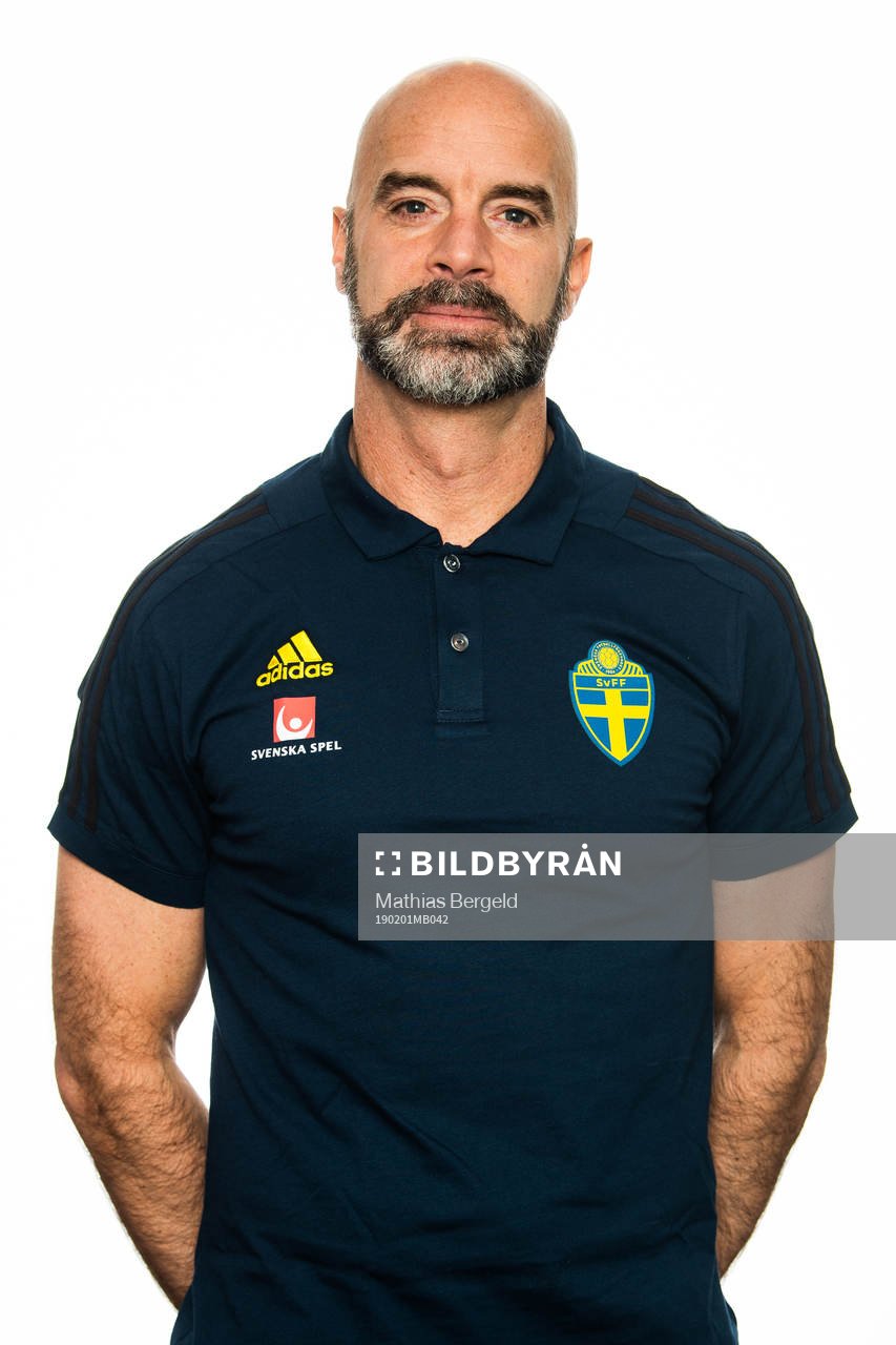 Domare Stefan Johannesson