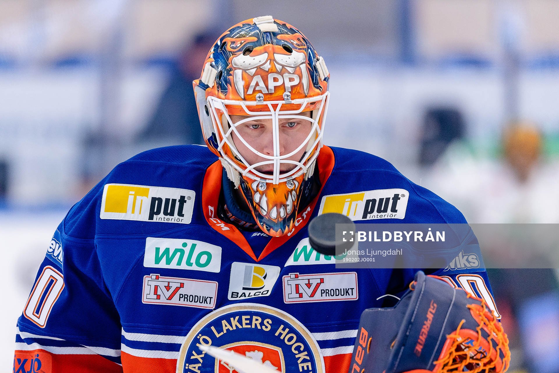 Växjös målvakt Viktor Fasth