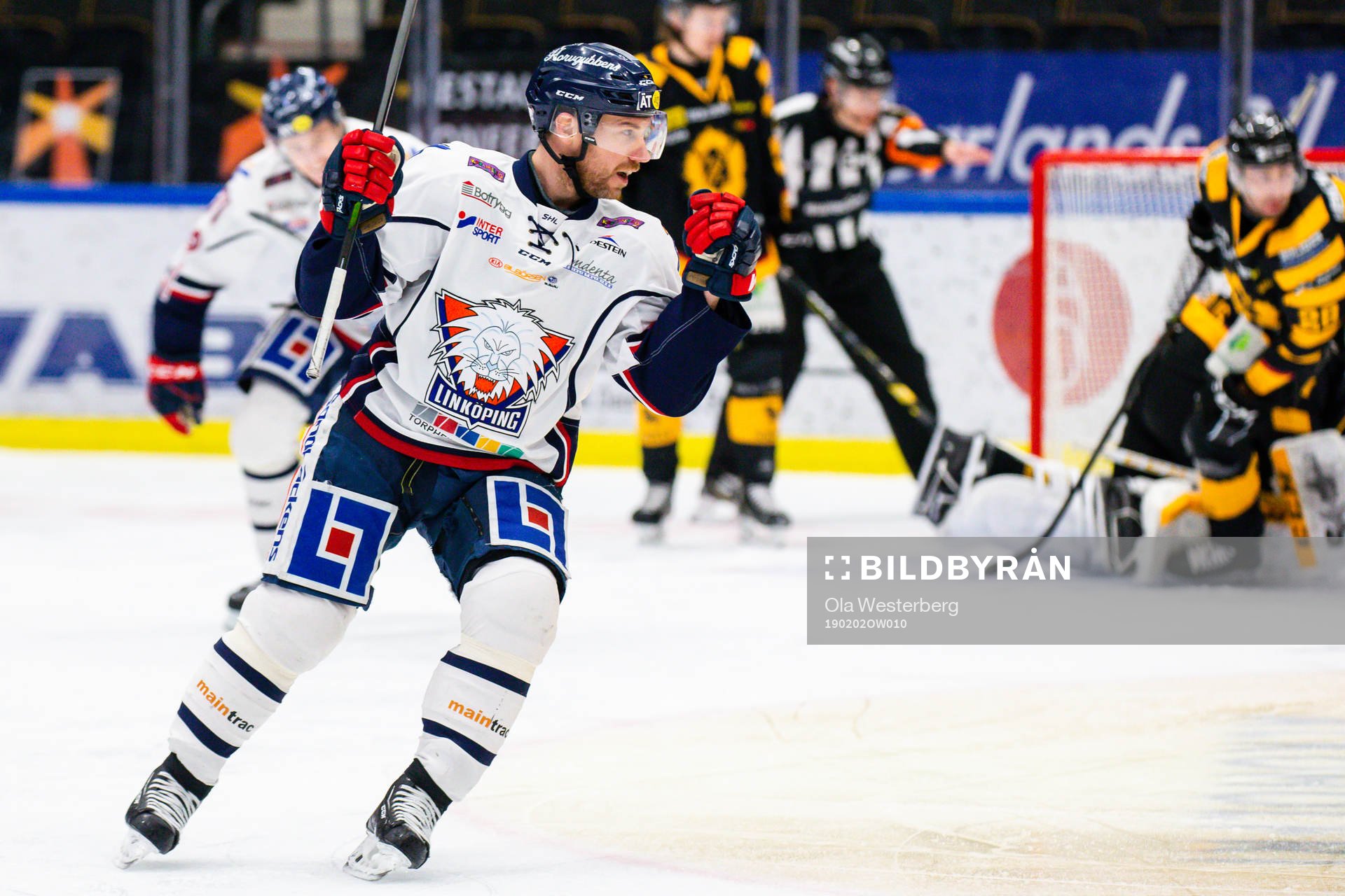 Linköpings Derek Roy jublar