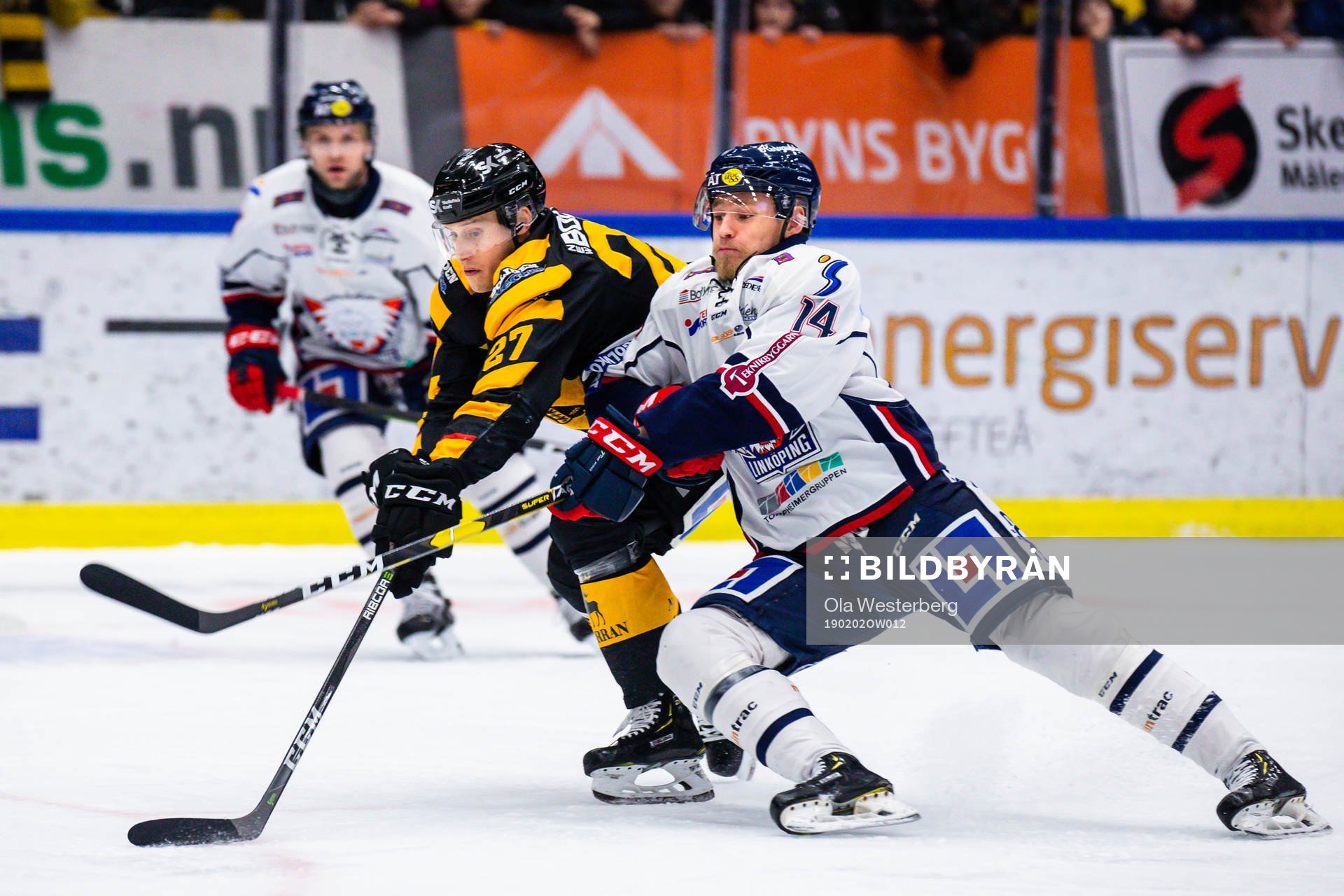Skellefteås Robin Alvarez och Linköpings Kristoffer