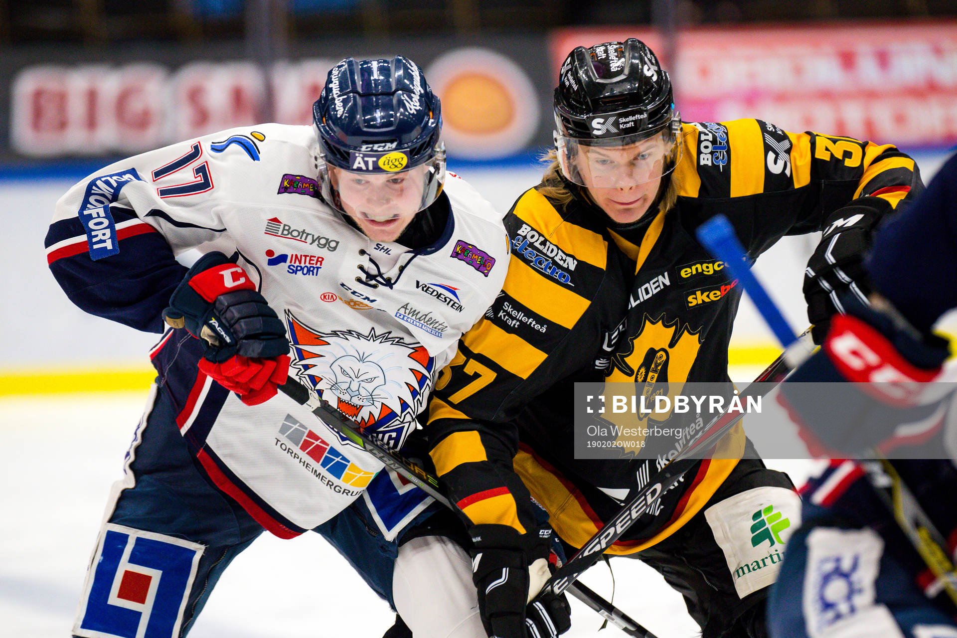 Skellefteås Albin Eriksson