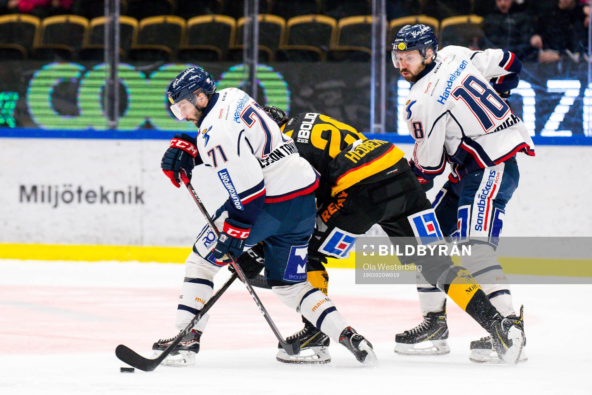 Skellefteås Edwin Hedberg