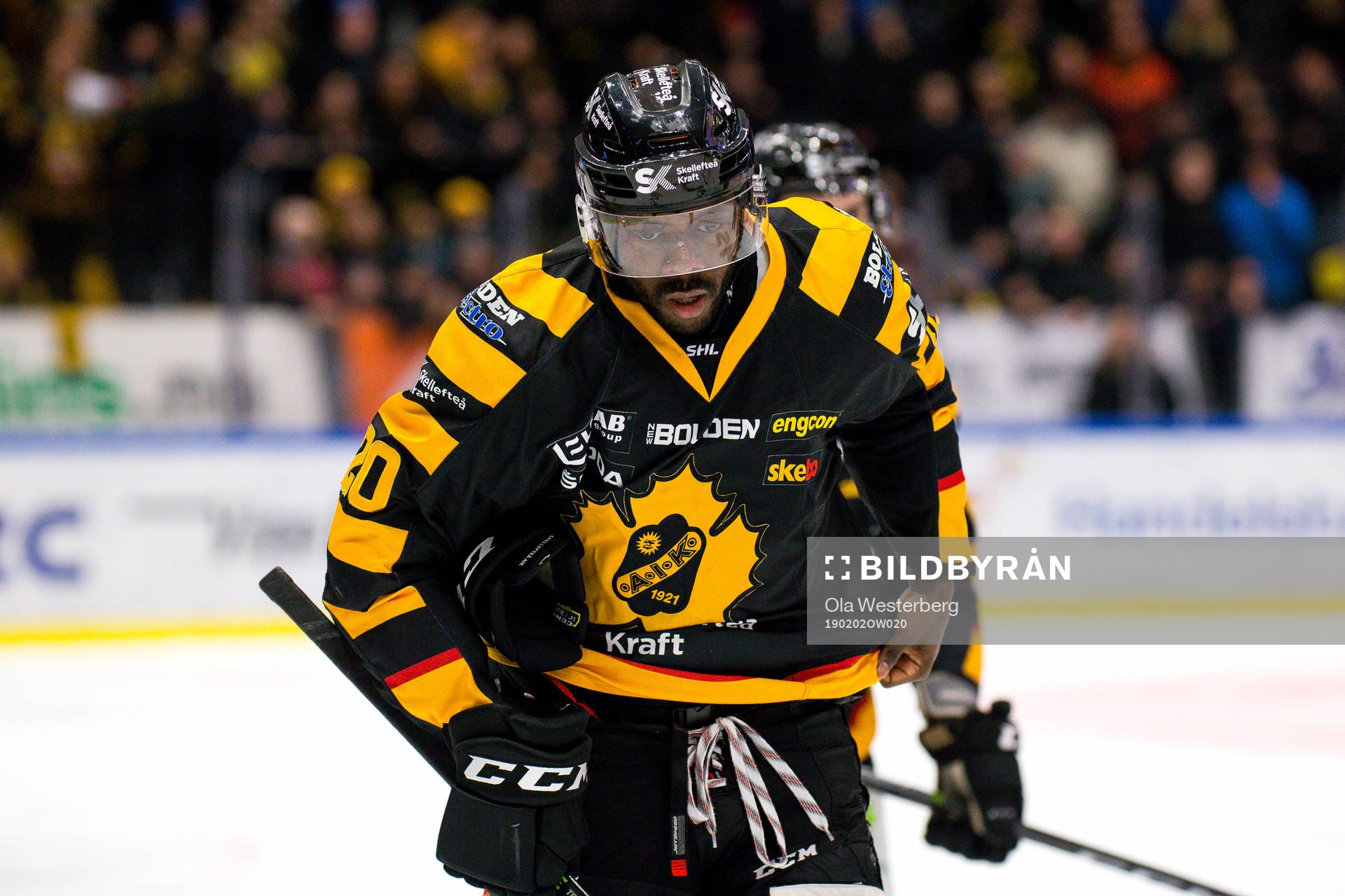 Skellefteås Edwin Hedberg