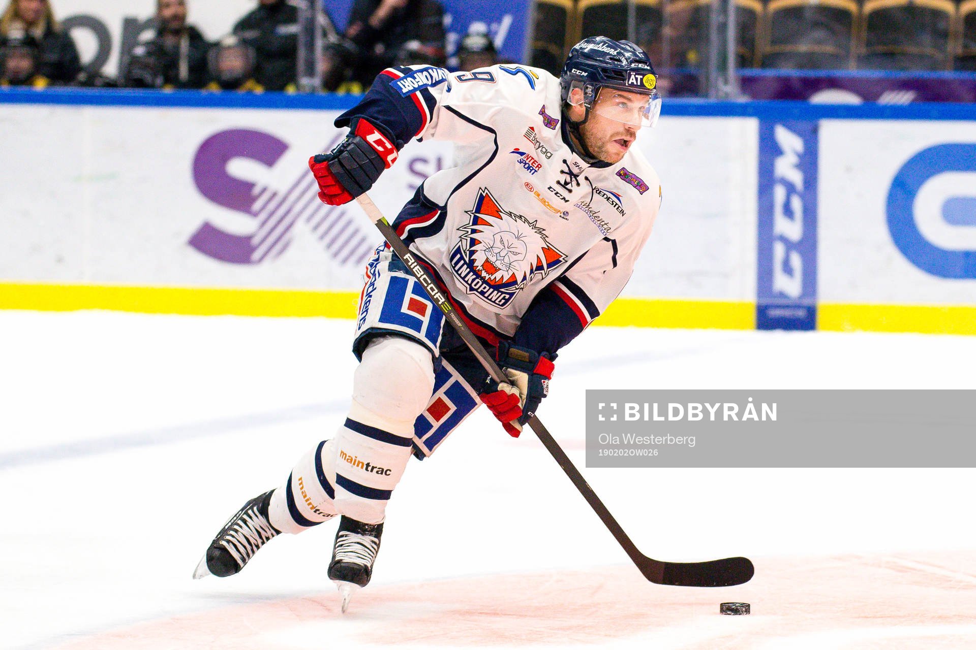 Linköpings Derek Roy