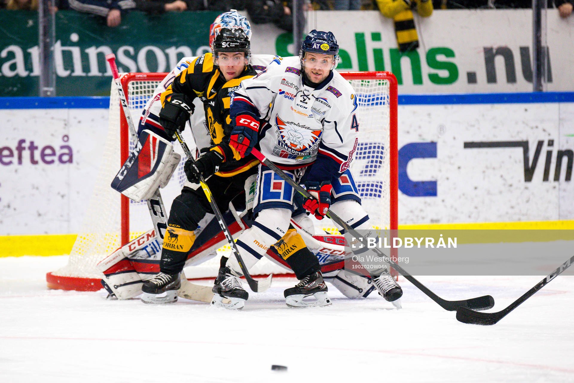 Skellefteås Andreas Wingerli