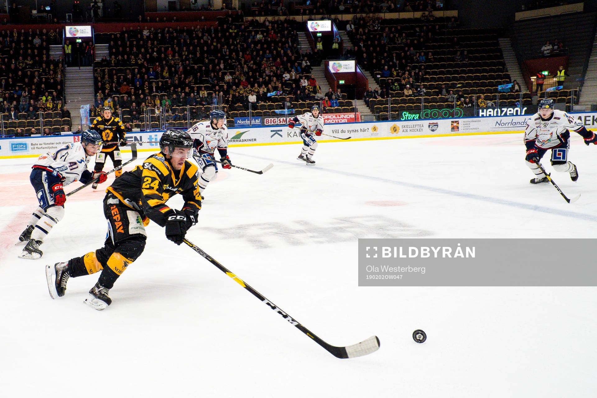 Skellefteås Andreas Wingerli