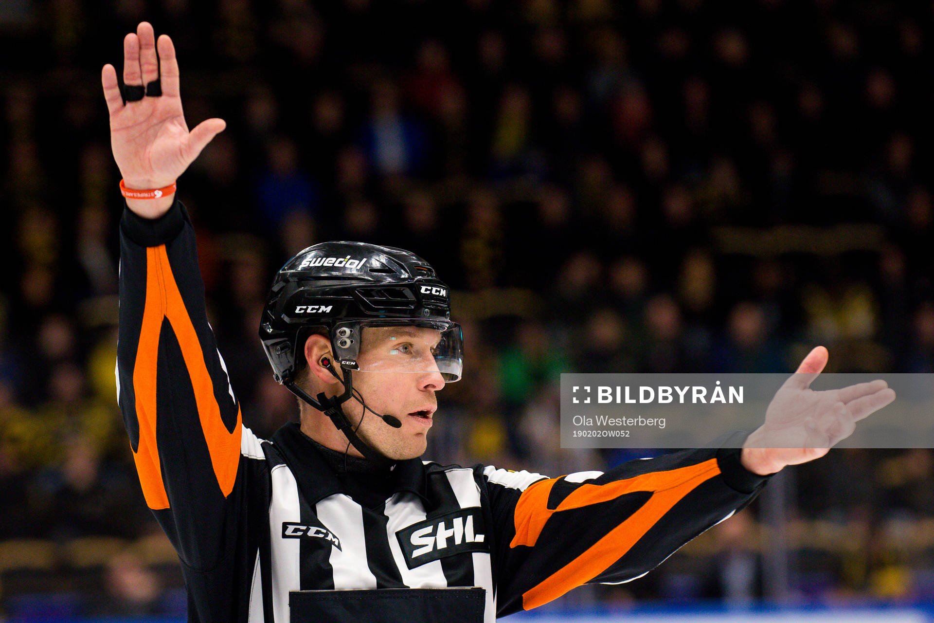 Domare Tobias Björk