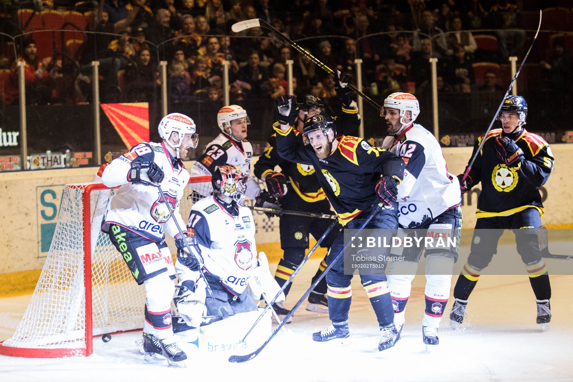 Brynässpelare jublar