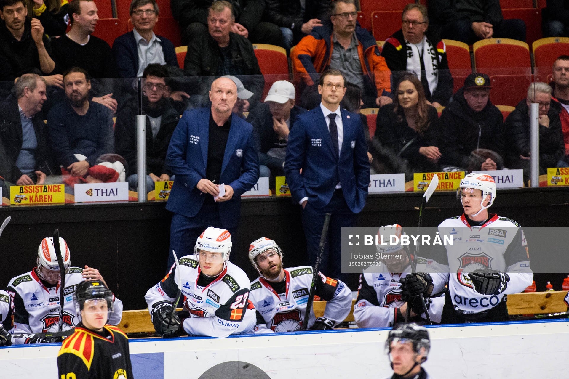 Malmö Redhawks tränare Peter Andersson och assisterande