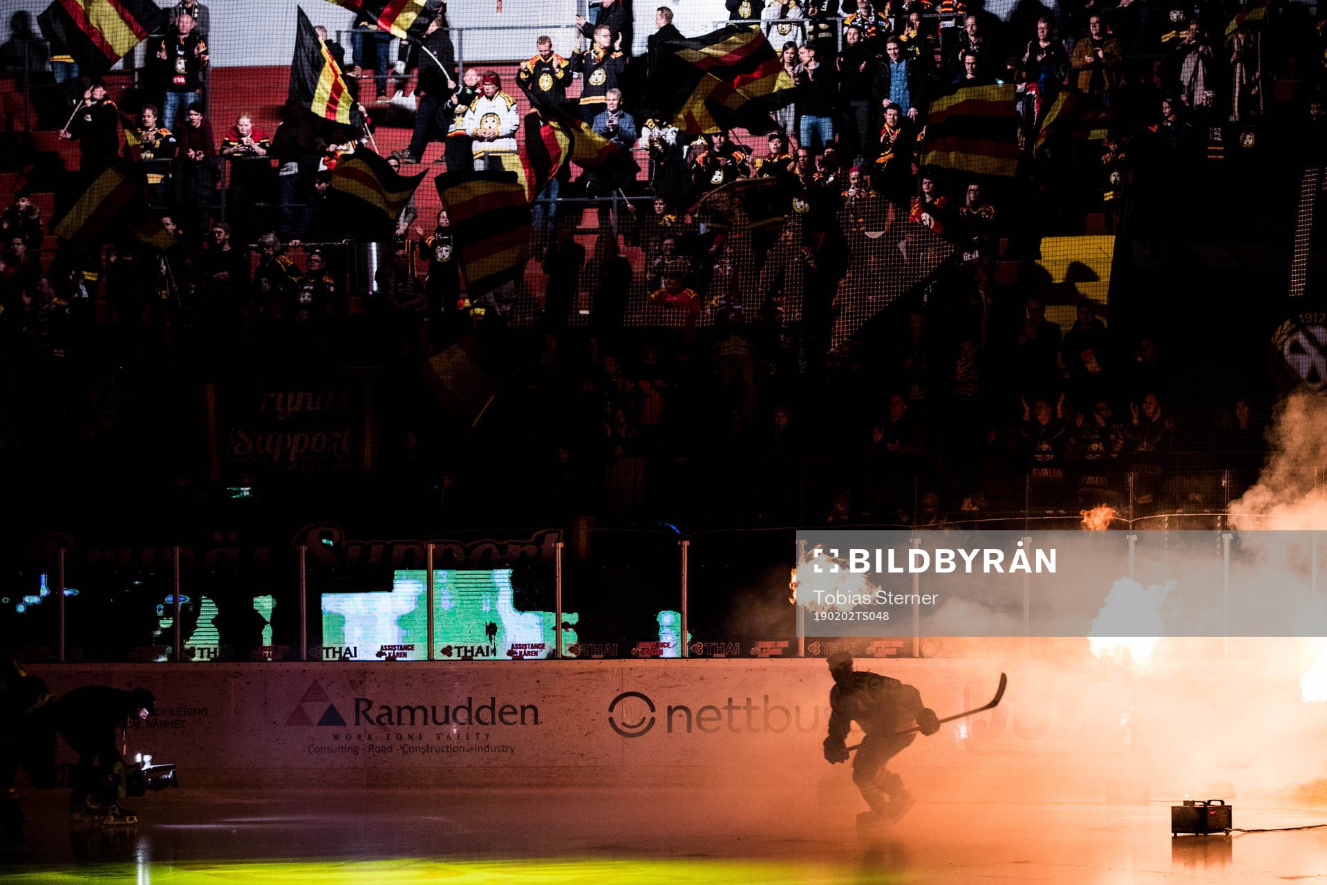 En brynässpelare gör entré innan ishockeymatchen i SHL
