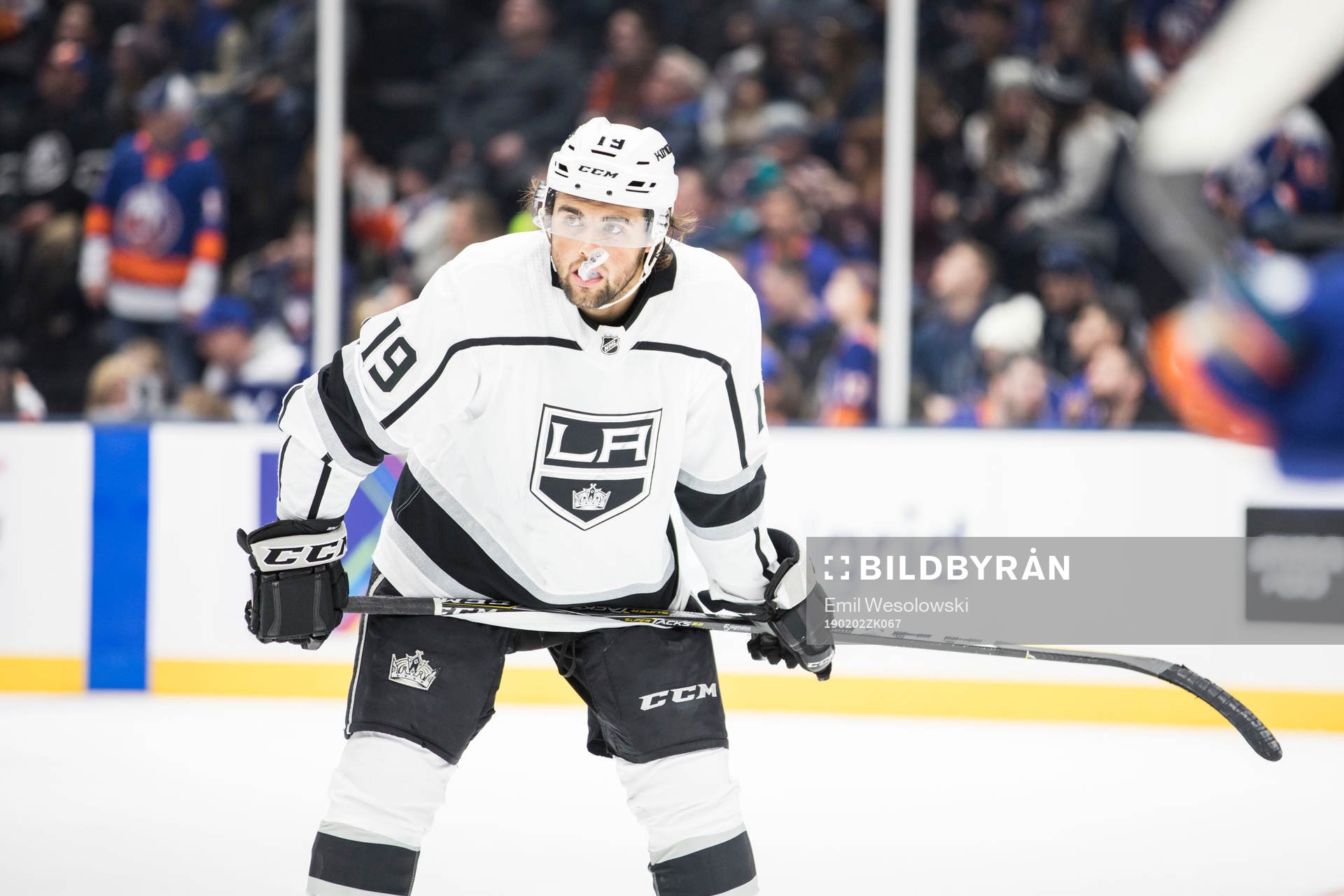 Alex Lafallo of Los Angeles Kings