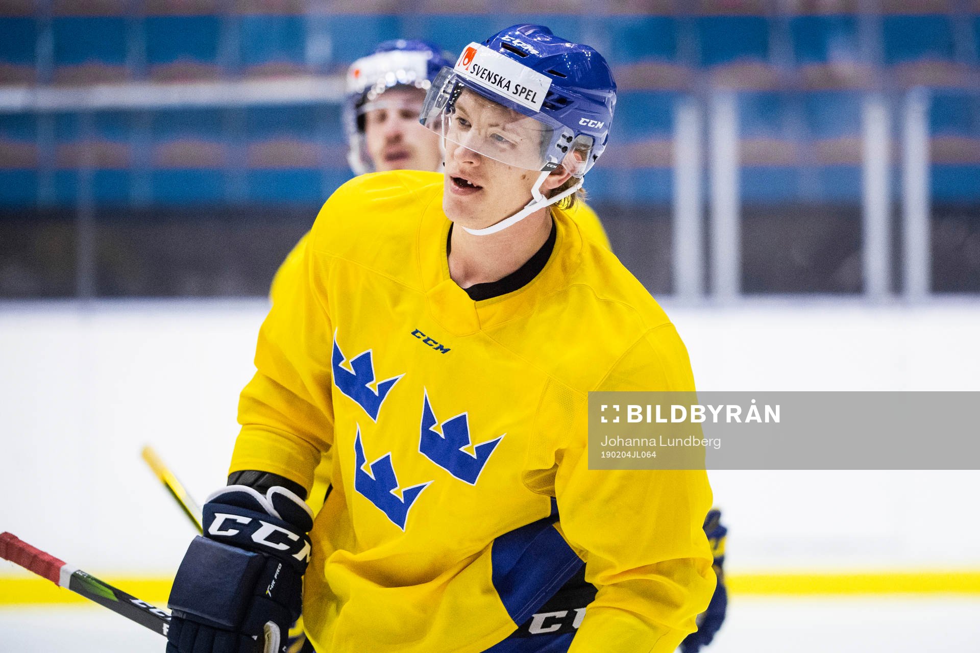 Emil Sylvegård