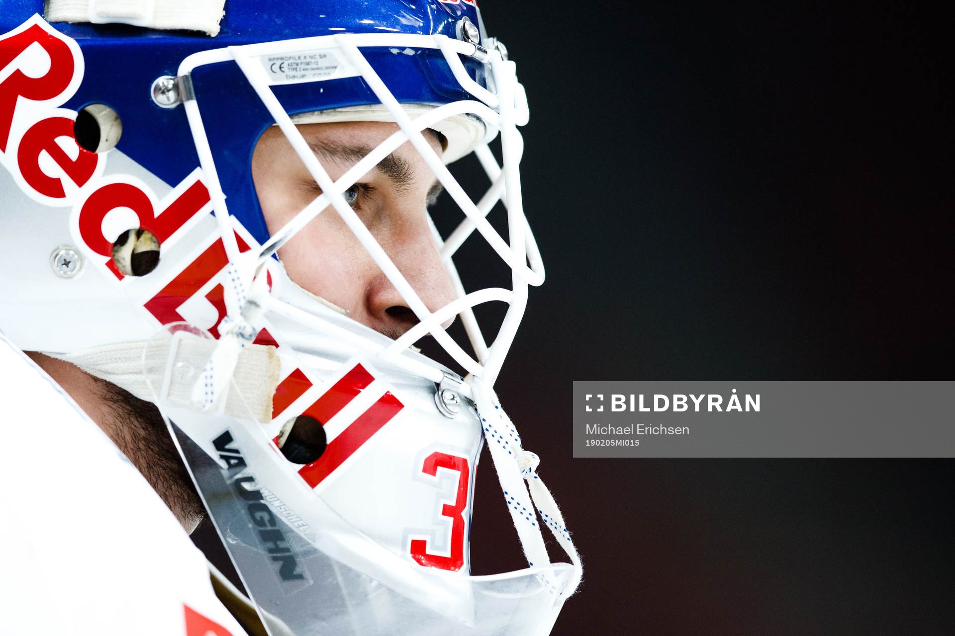 goalkeeper Kevin Reich  of Red Bull Munich ahead the CHL