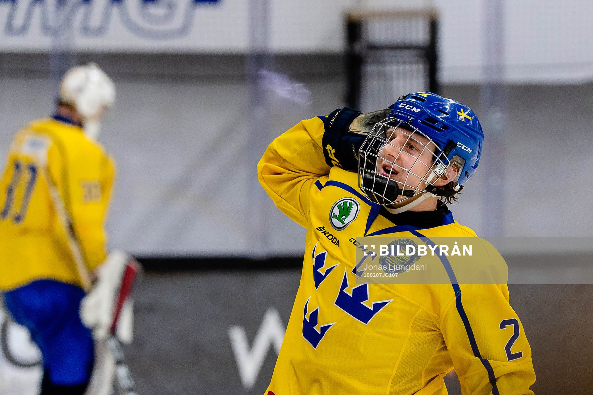 Sveriges Emil Andrae jublar
