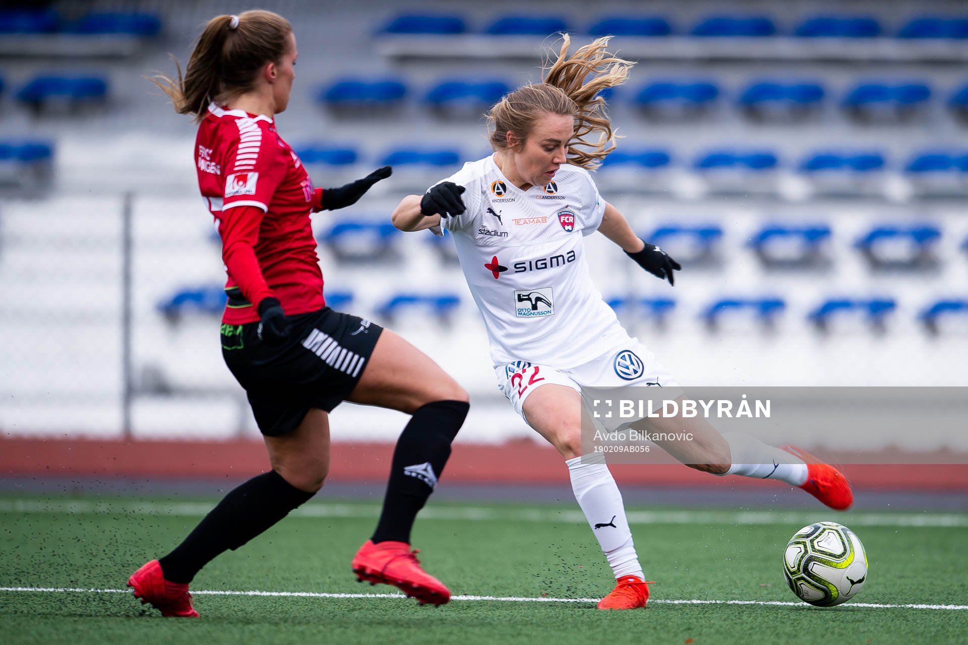Rosengårds Fiona Brown