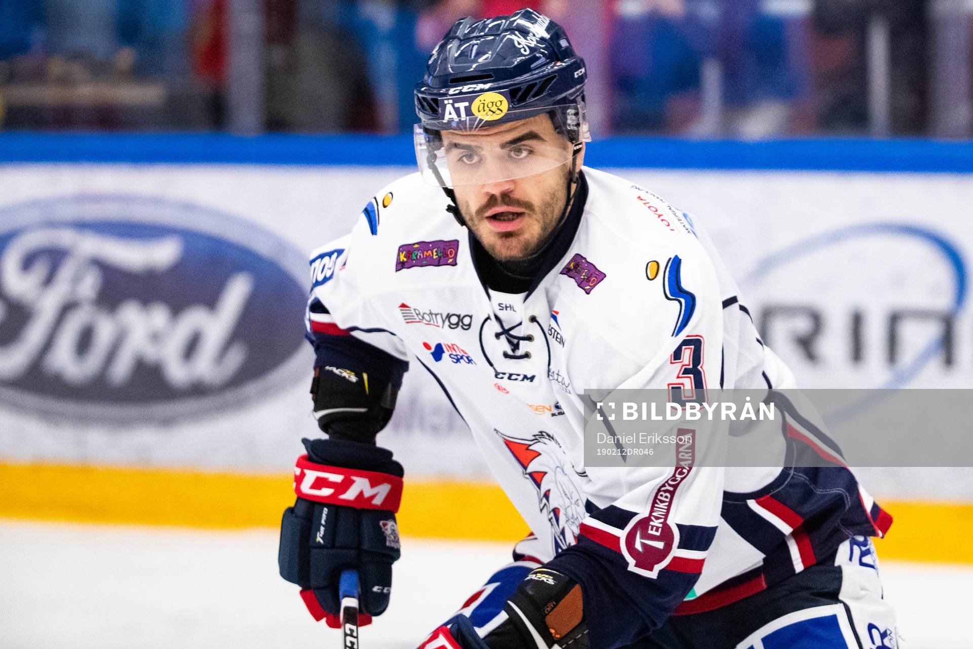 Linköpings Almen Bibic