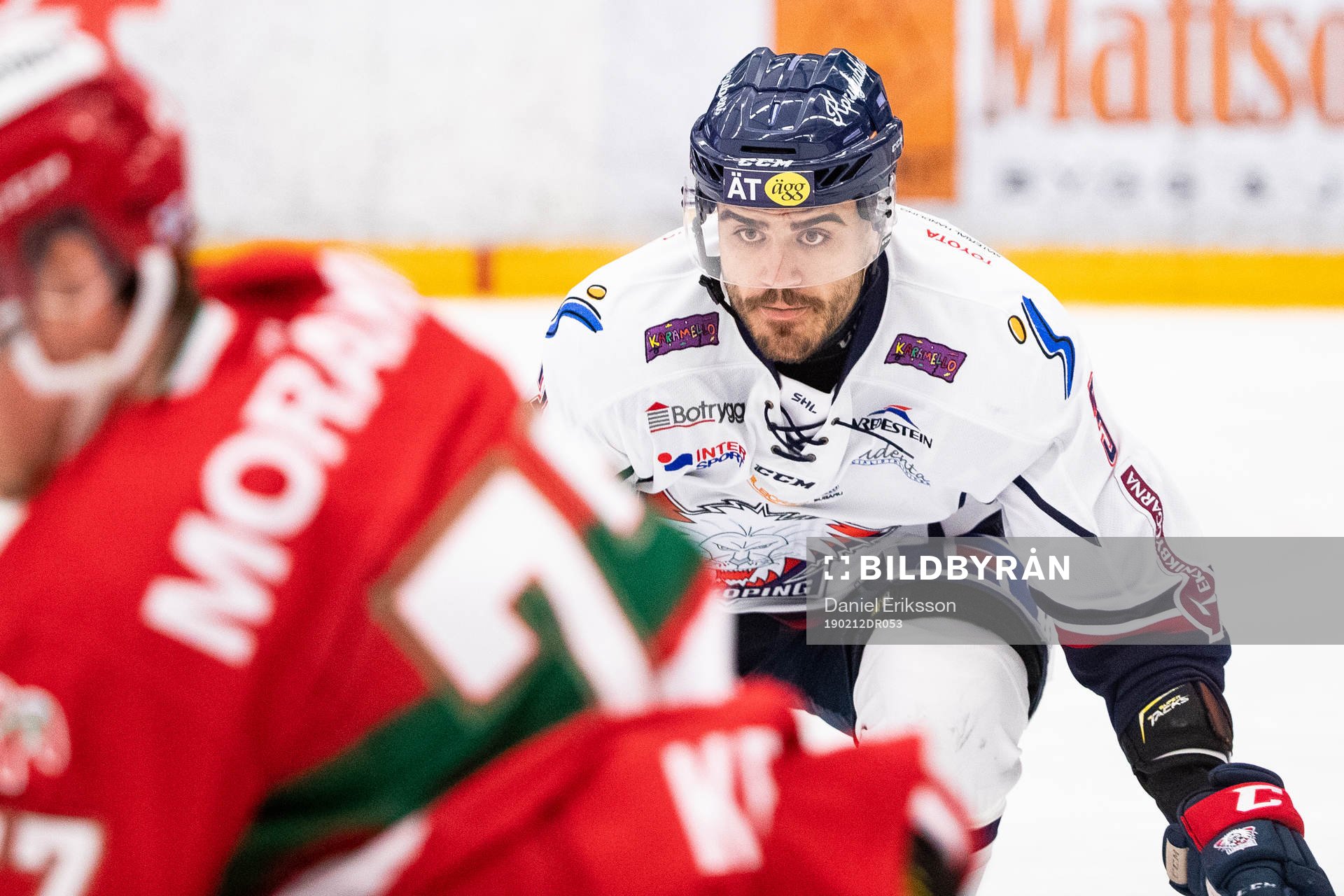 Linköpings Almen Bibic