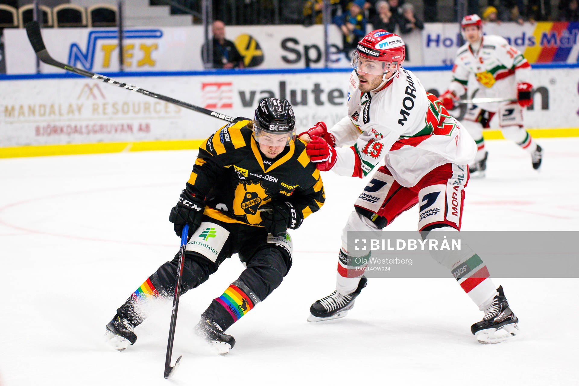 Skellefteås Tim Söderlund