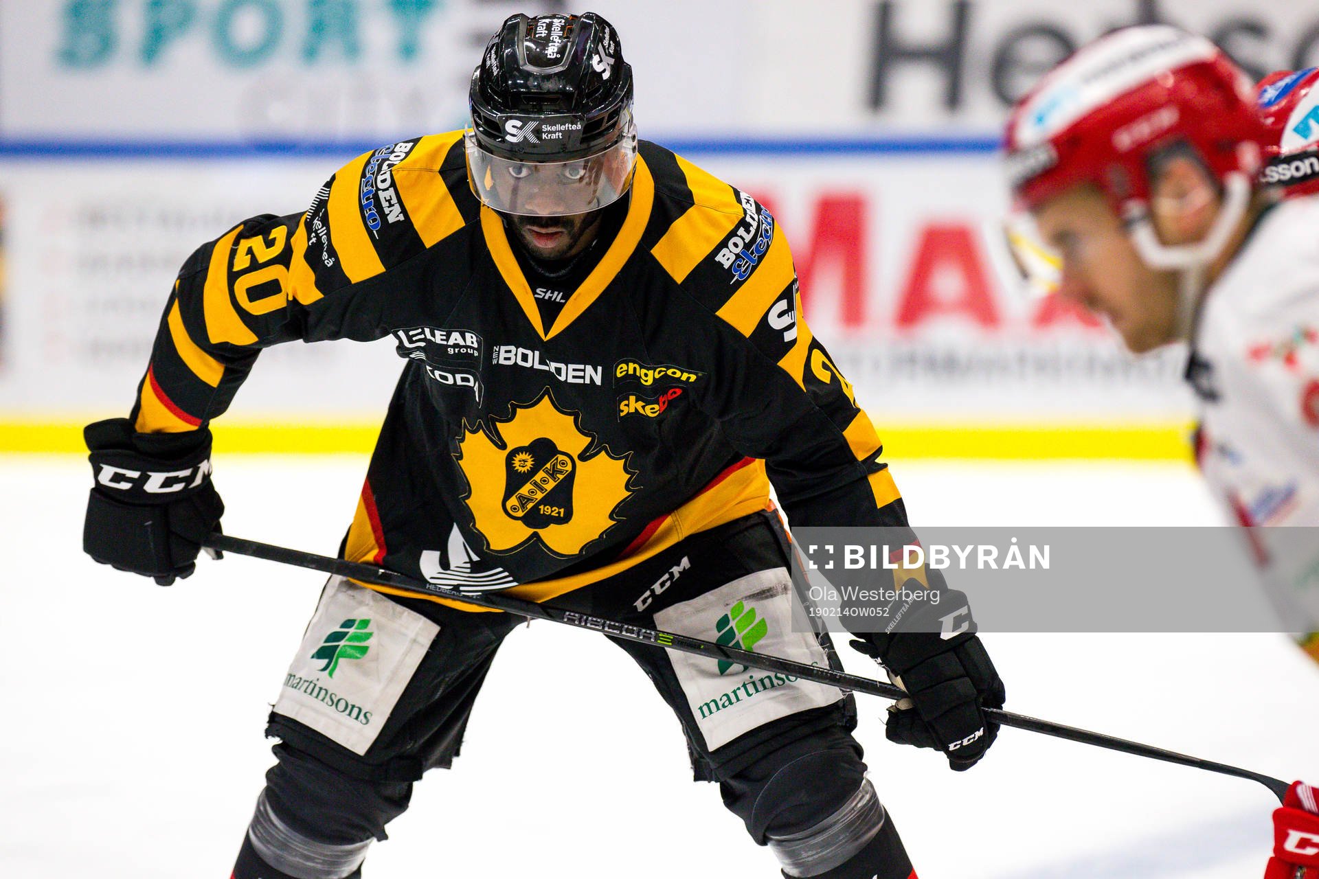 Skellefteås Edwin Hedberg
