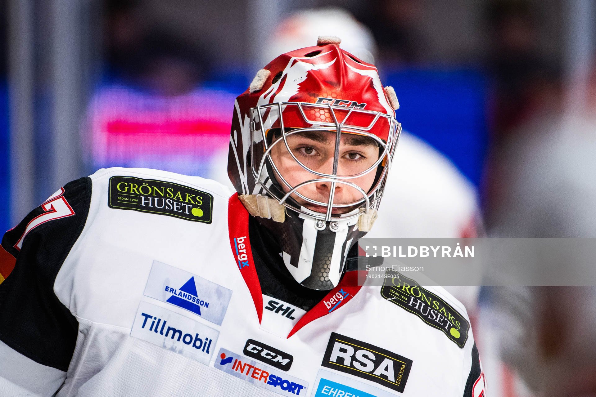 Malmö Redhawks målvakt Gustav Walldén