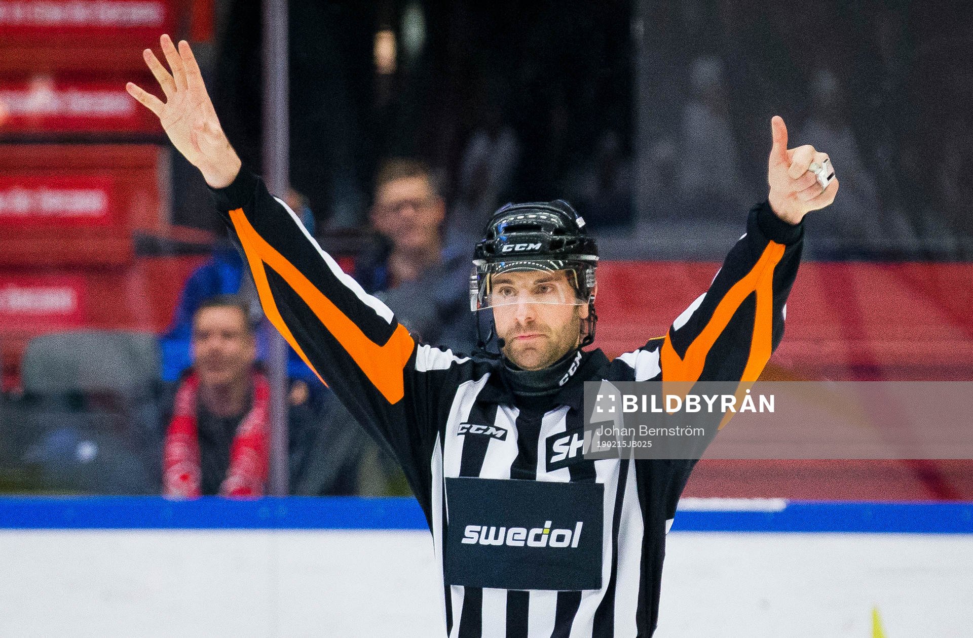 Domare Mikael Sjöqvist