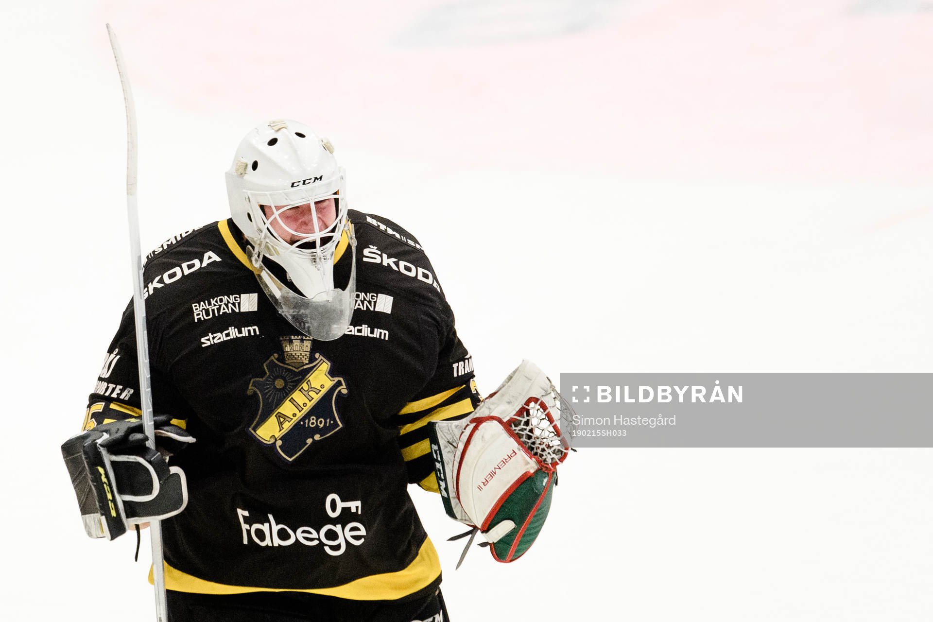 s målvakt Robin Wallin jublar