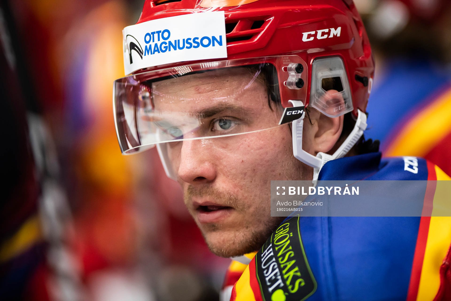 Malmö Redhawks Pontus Netterberg