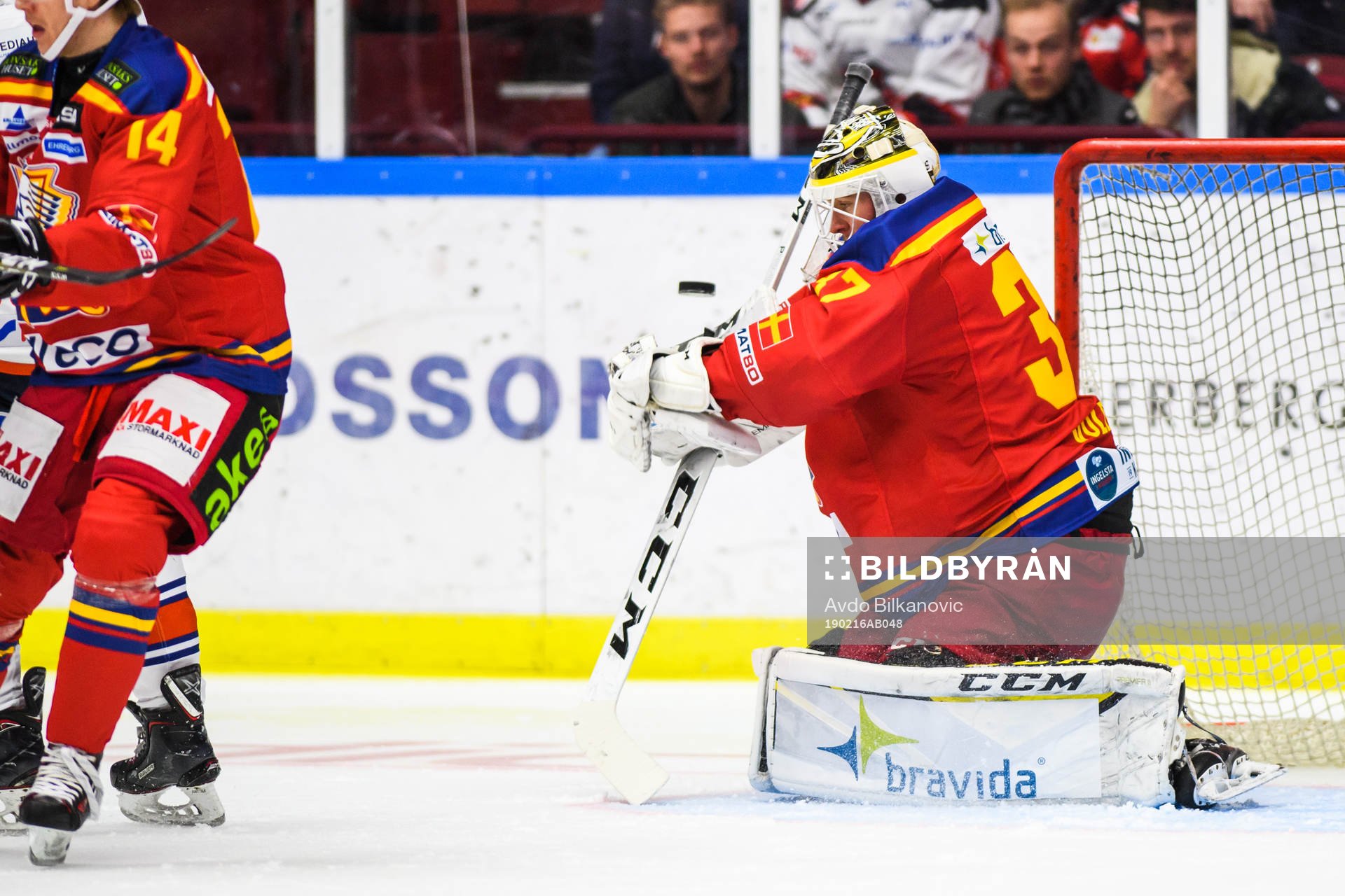 Malmö Redhawks målvakt Lars Volden