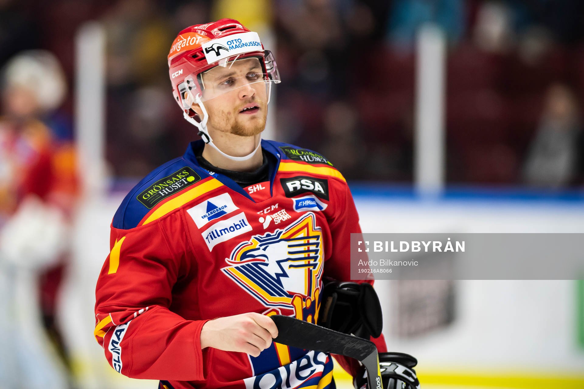 Malmö Redhawks Max Görtz
