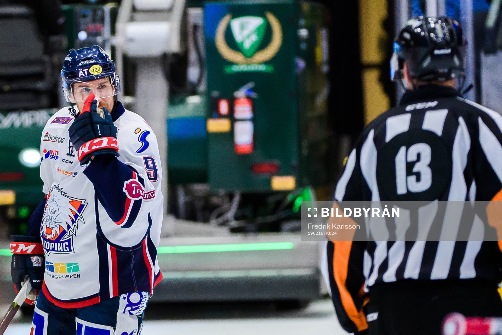 Linköpings Derek Roy i samtal med Domare Morgan Johansson