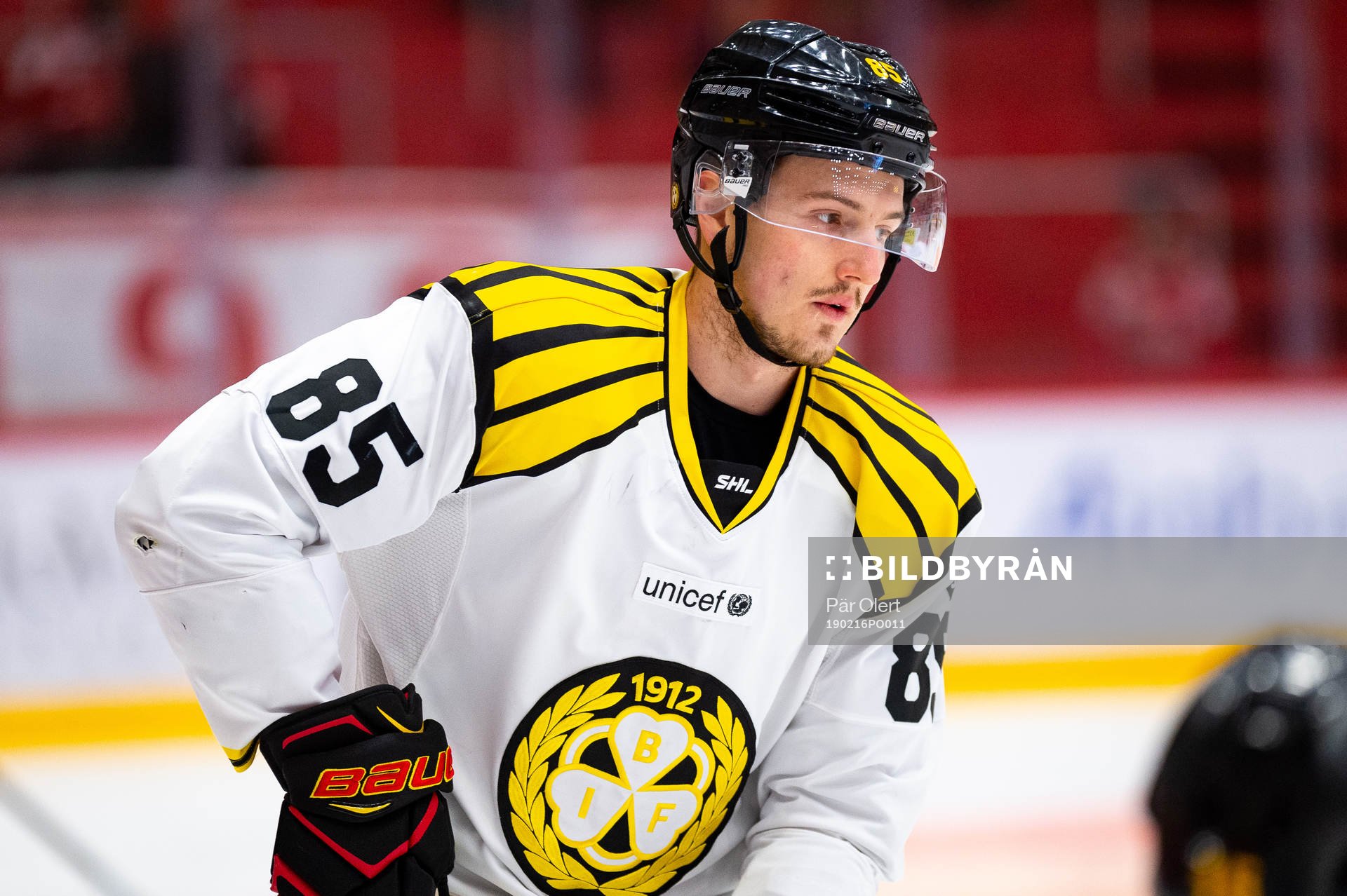 Brynäs Rudolf Cerveny