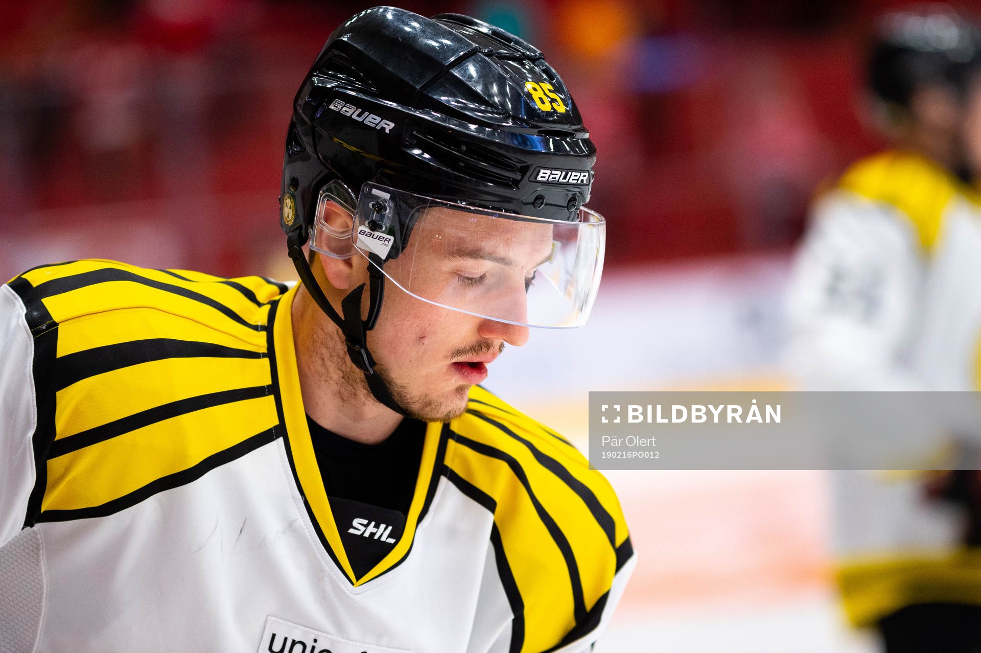 Brynäs Rudolf Cerveny