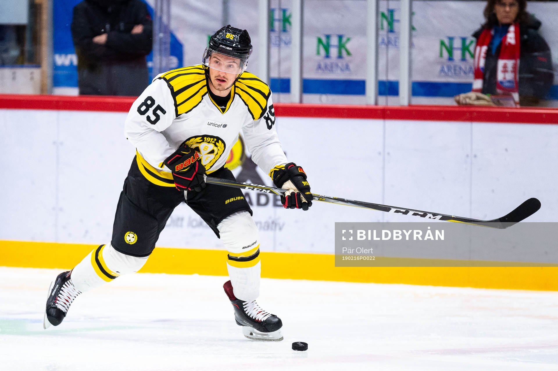 Brynäs Rudolf Cerveny