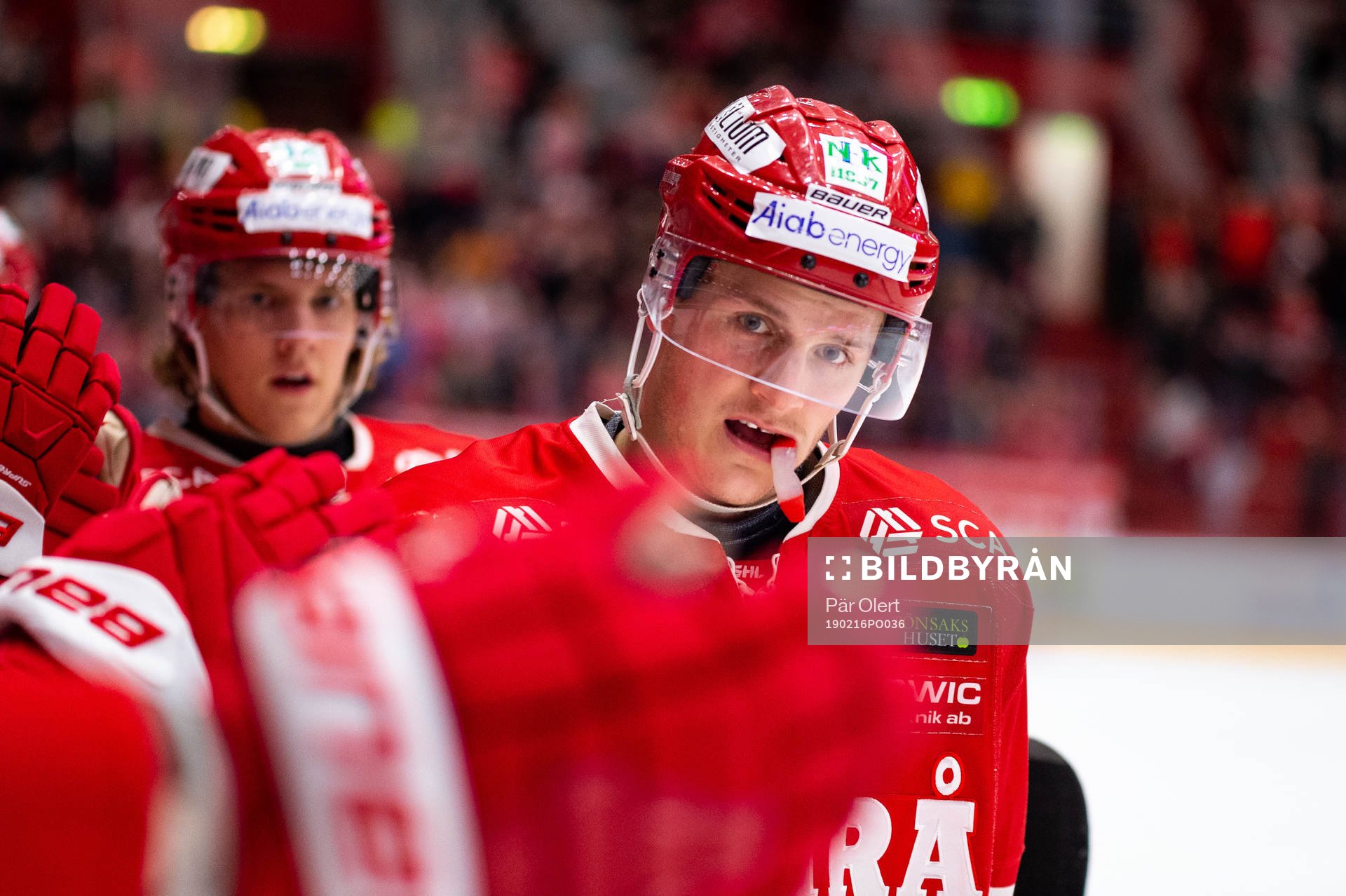 Timrås Henrik Törnqvist jublar