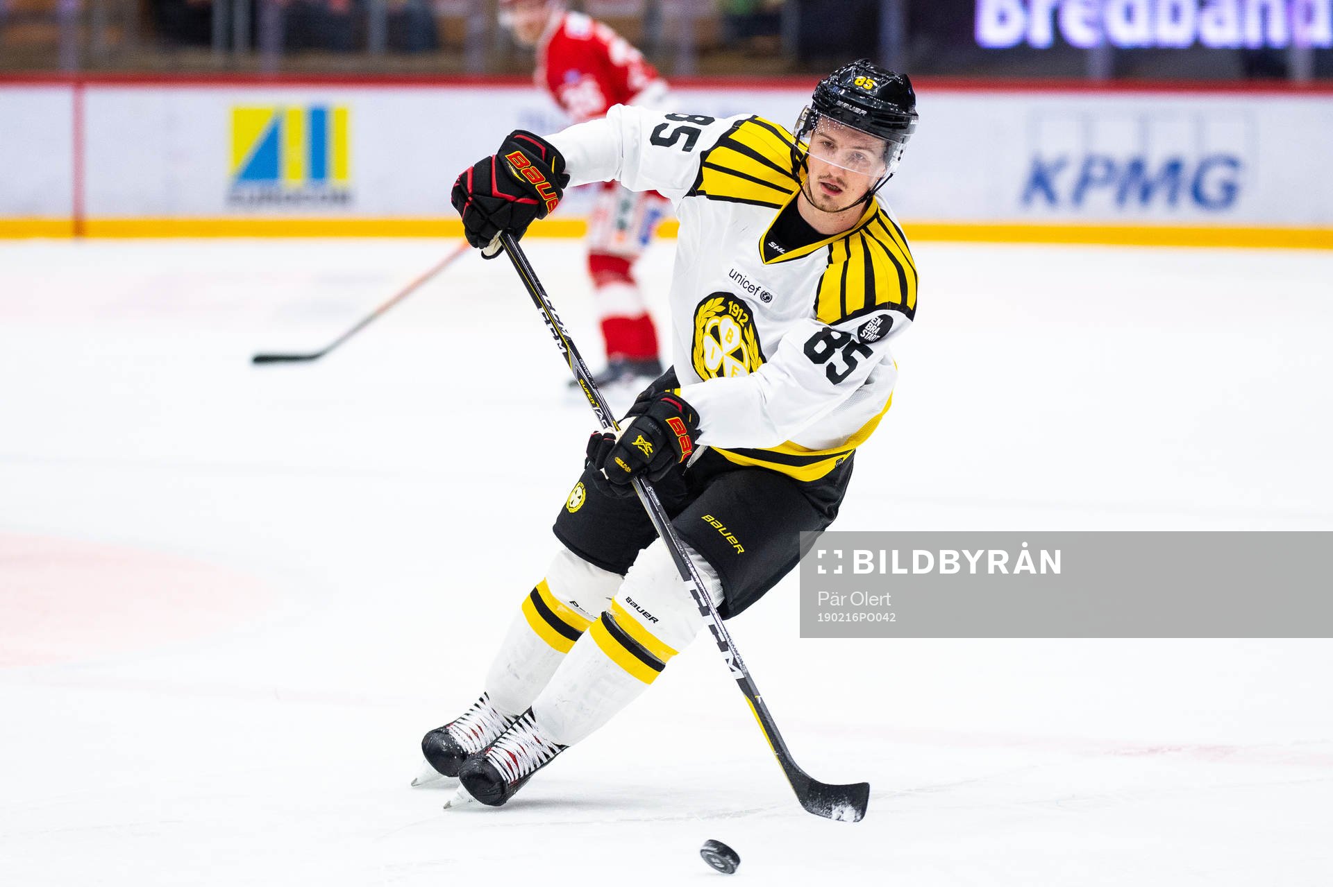 Brynäs Rudolf Cerveny
