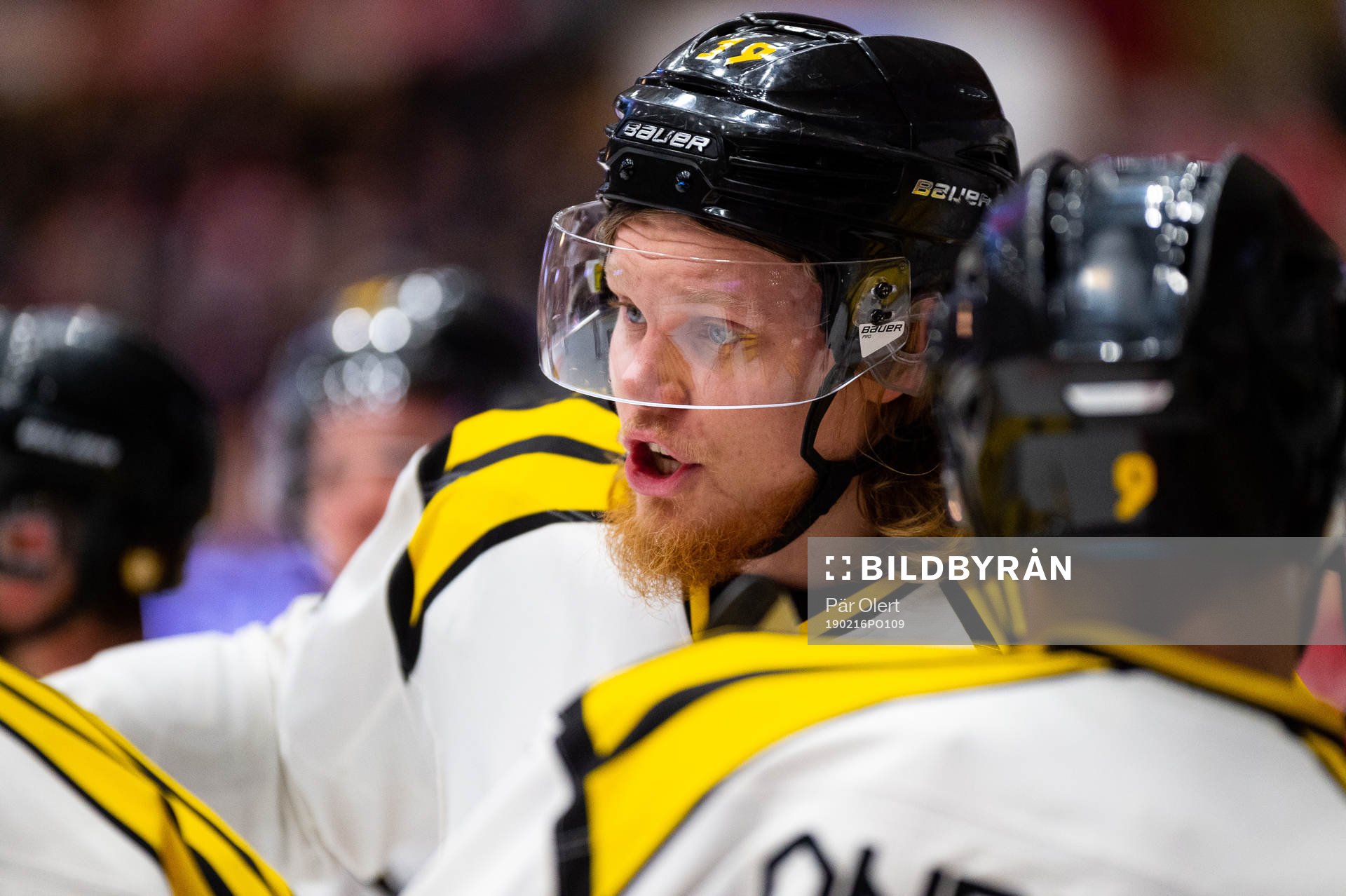 Brynäs Ludvig Nilsson