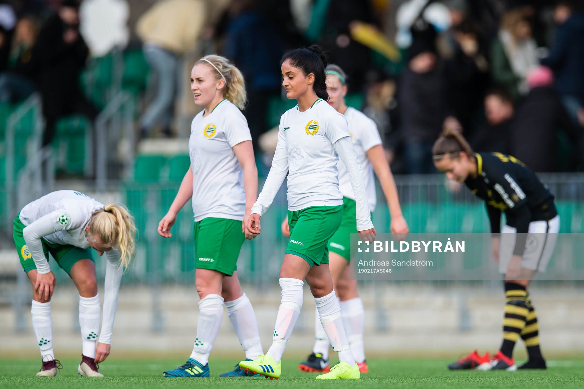 Hammarbys Lawlaw Nazeri  (m) och Ellen Gibson deppar