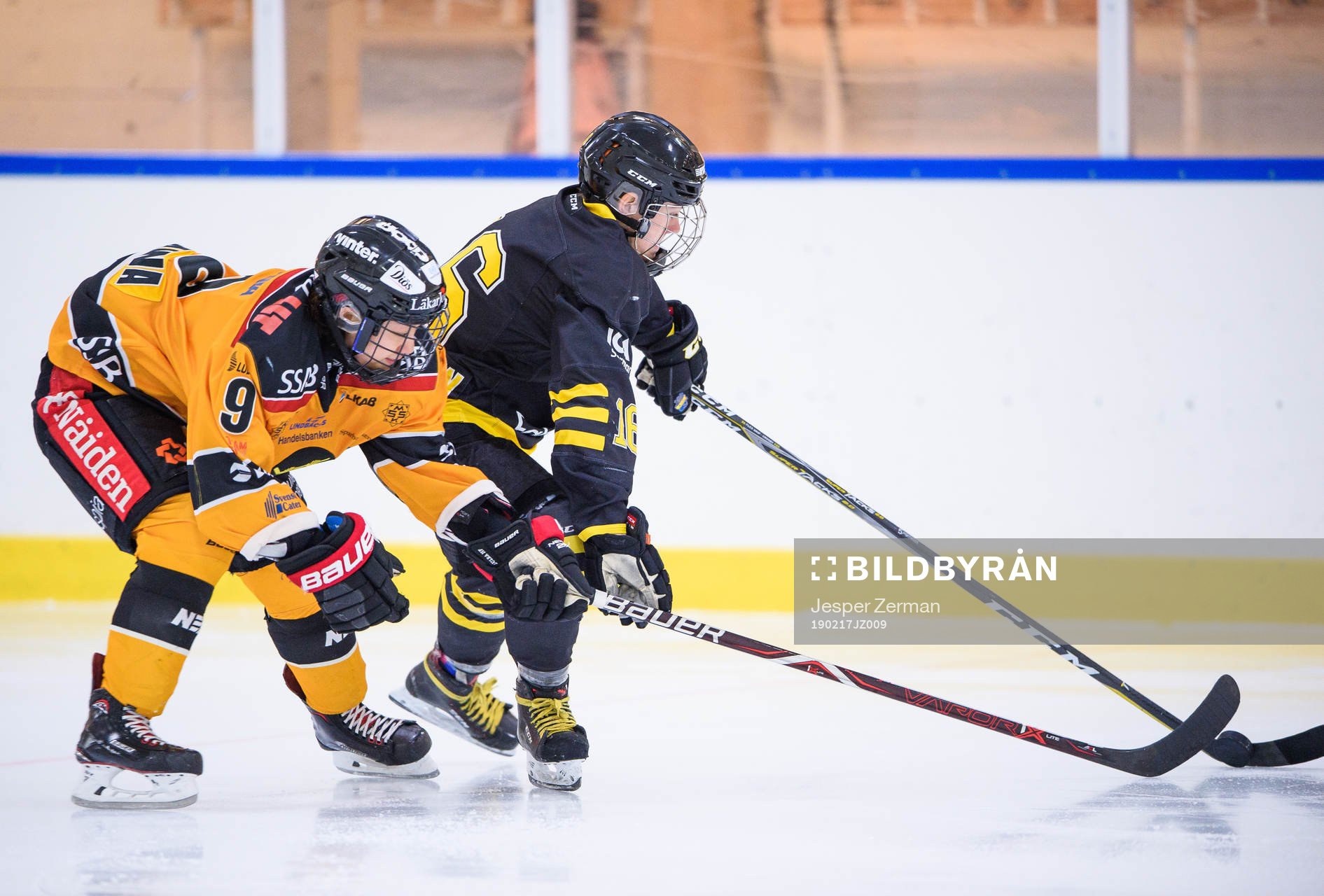 s Lisa Johansson