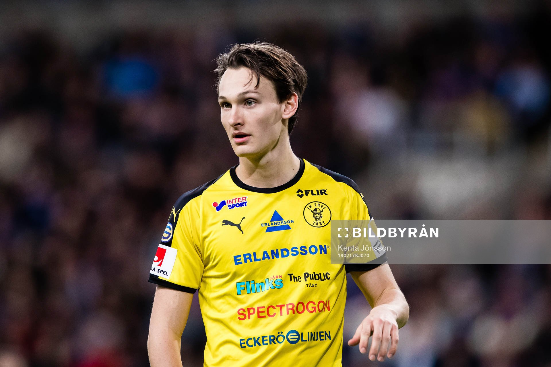 Frejs Hjalmar Ekdal
