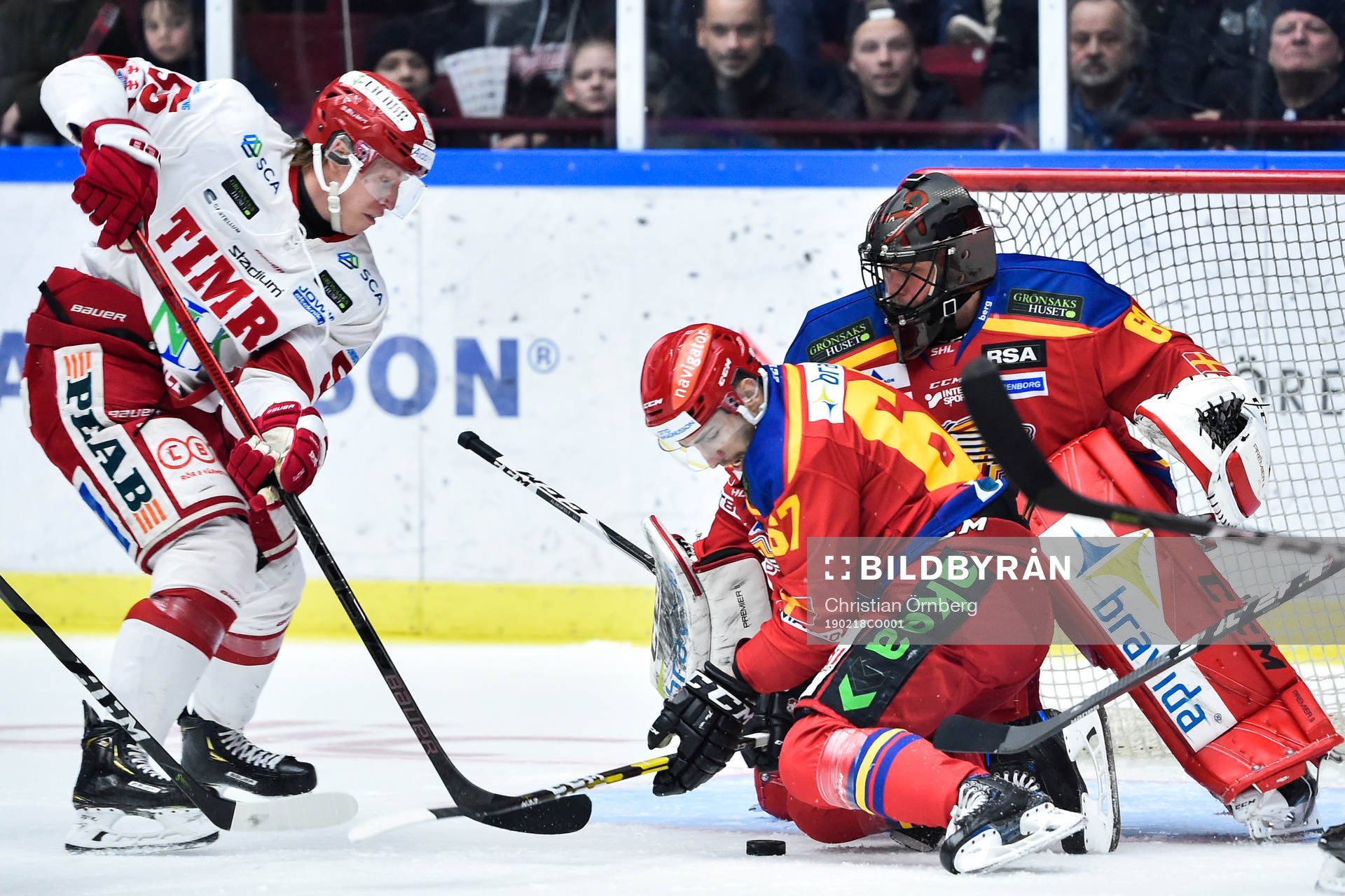 Timrås Vilmos Gallo