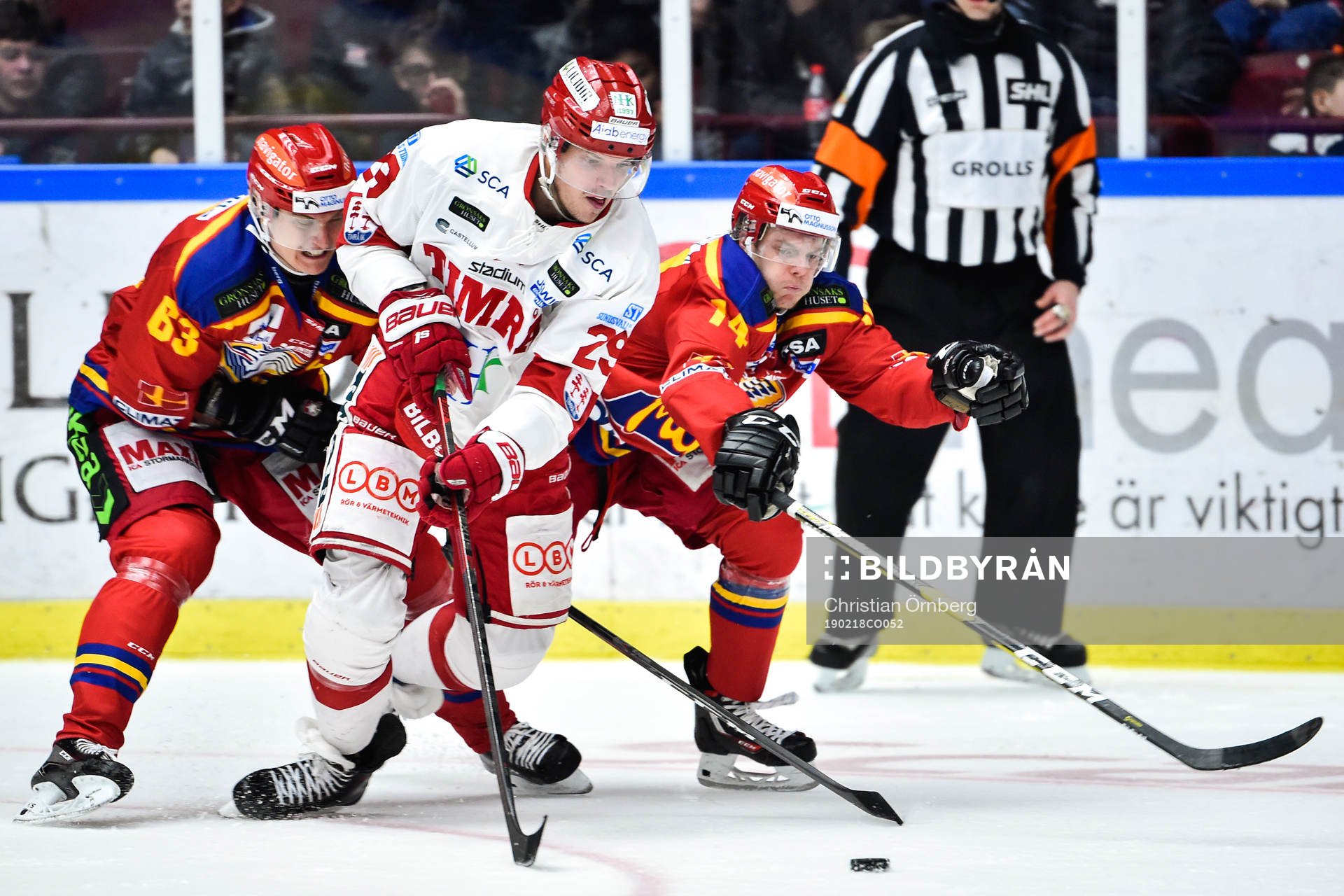Timrås Morten Madsen