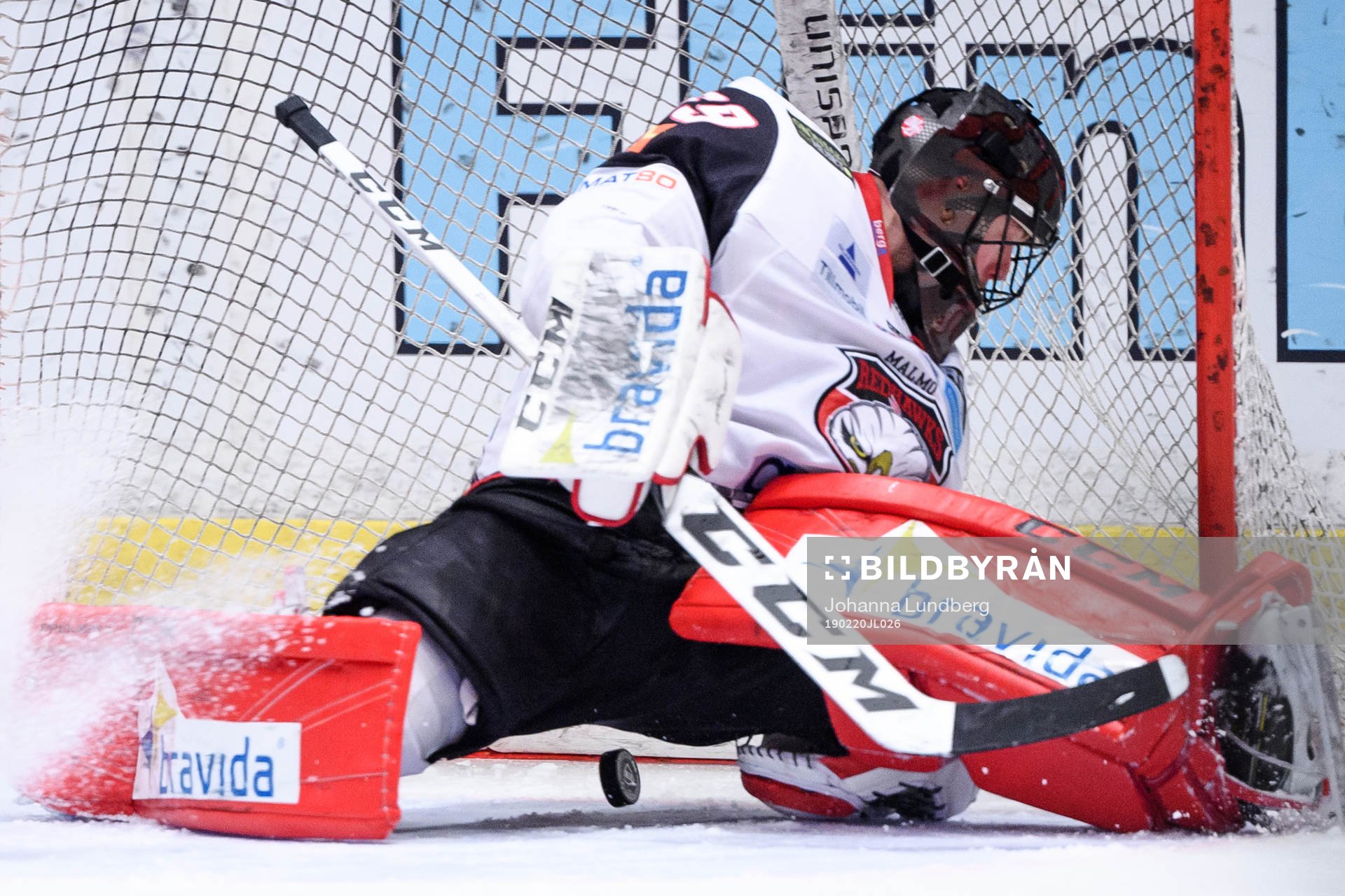 Malmö Redhawks målvakt Oscar Alsenfelt vid Djurgårdens