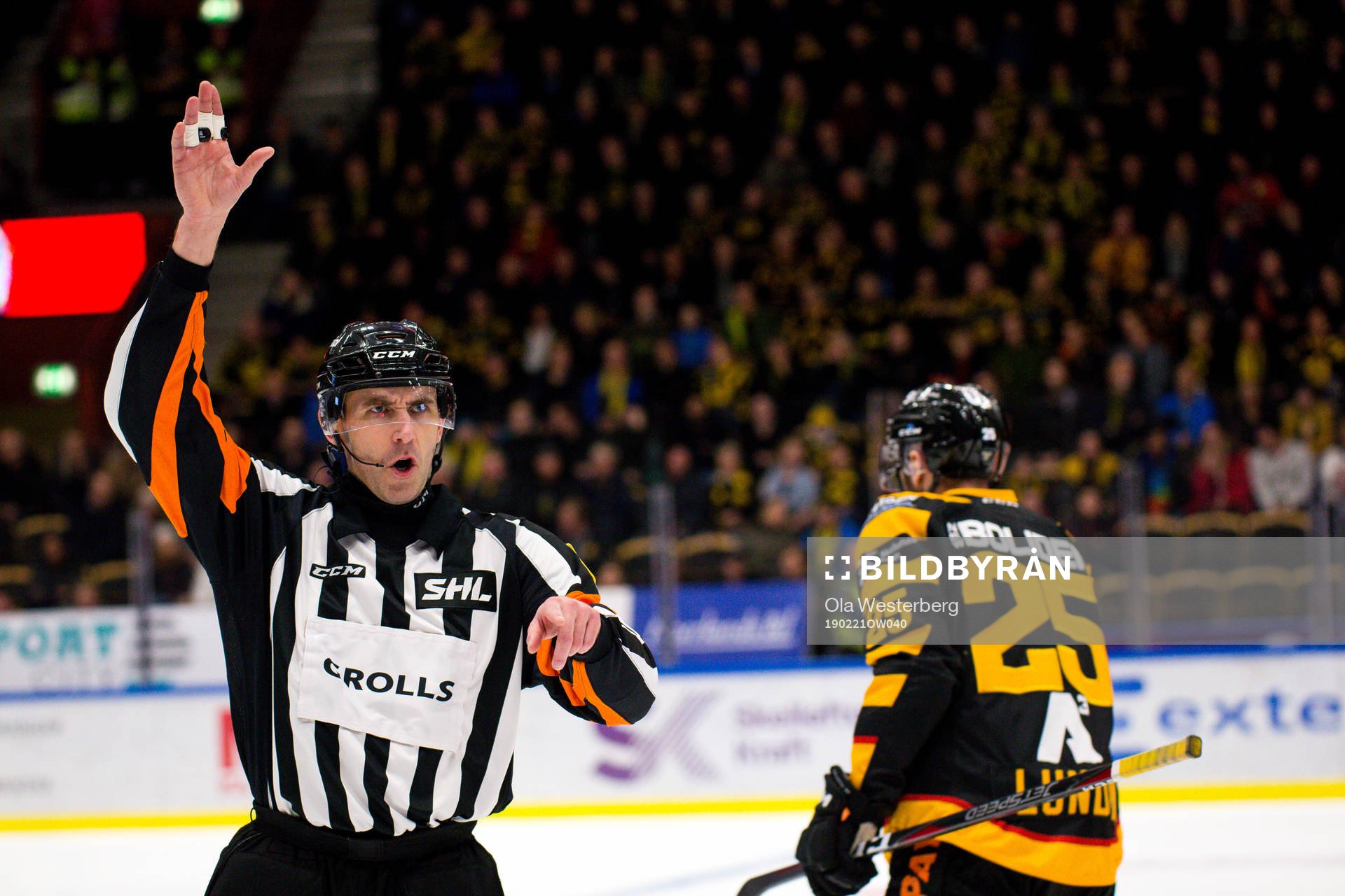 Domare Linus Öhlund